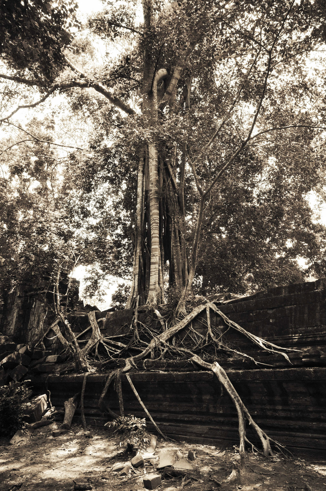 Beng Mealea