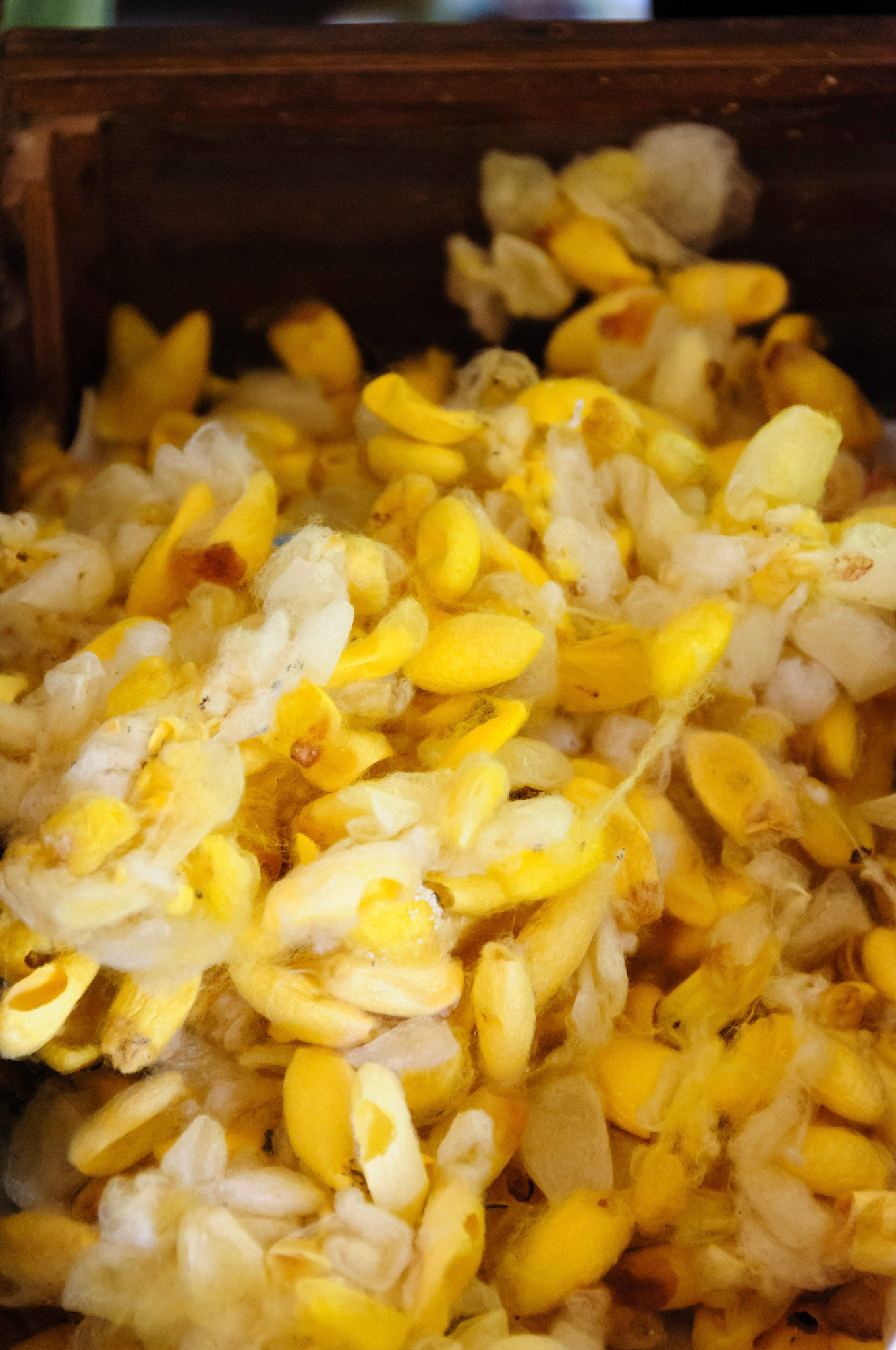 Artisans d'Angkor silk farm