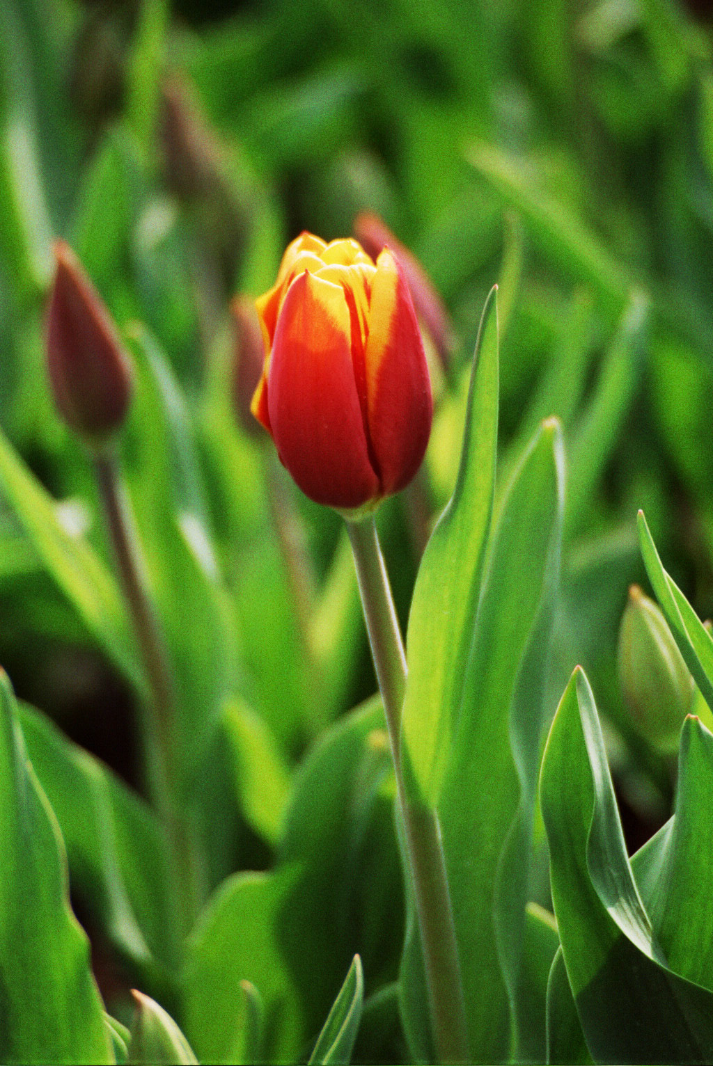 2005-09-17 - Various - 0120