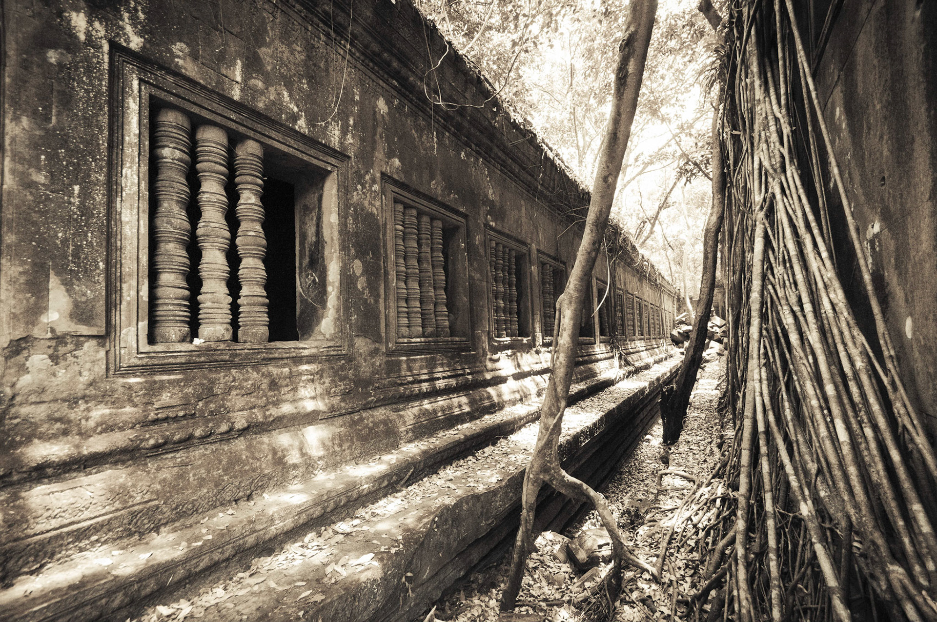Beng Mealea