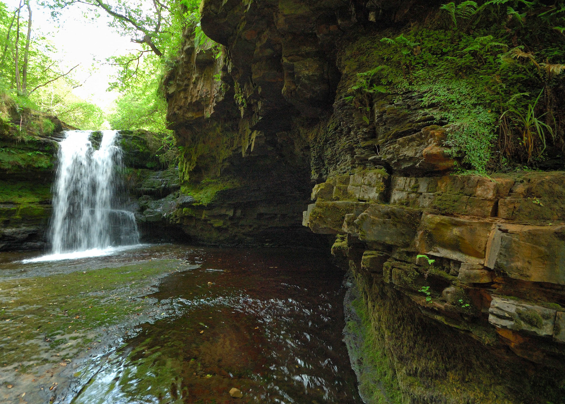 2006-07-29 - Rogers Walk - 0070