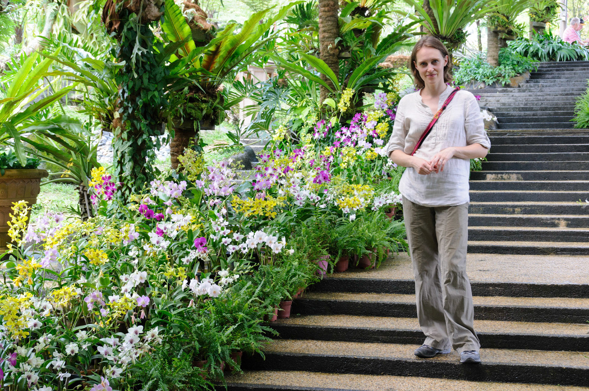 The Orchid Garden, Lake Gardens