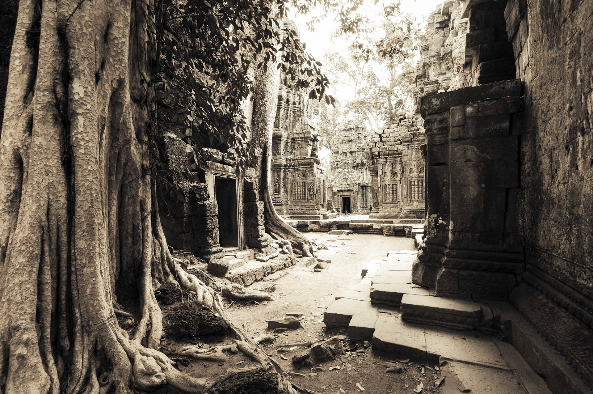 Ta Prohm