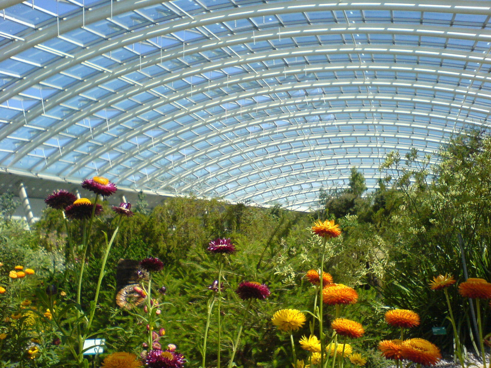 2006-07-16 - Various - 0219