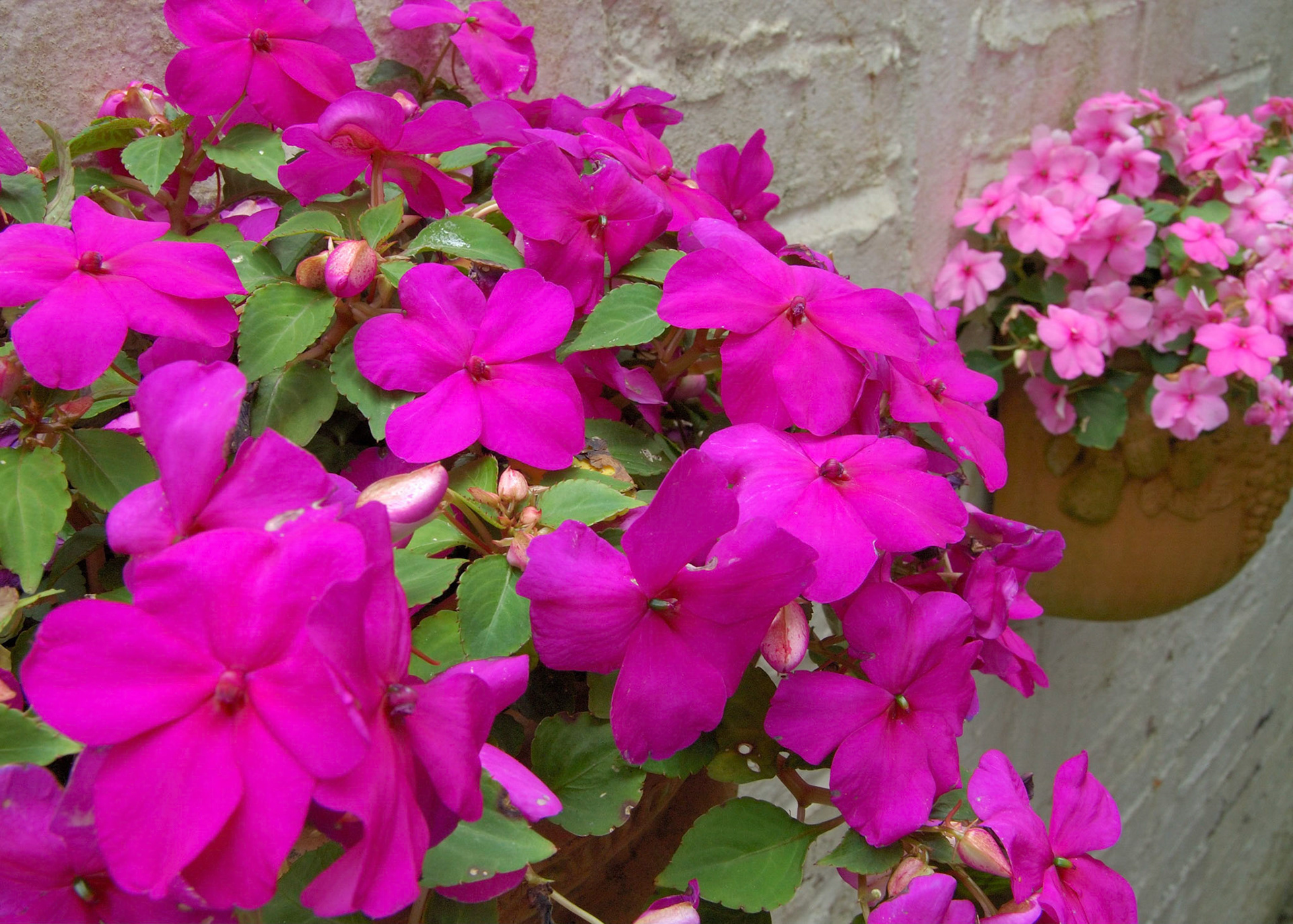 2006-07-16 - Various - 0024 - CSH