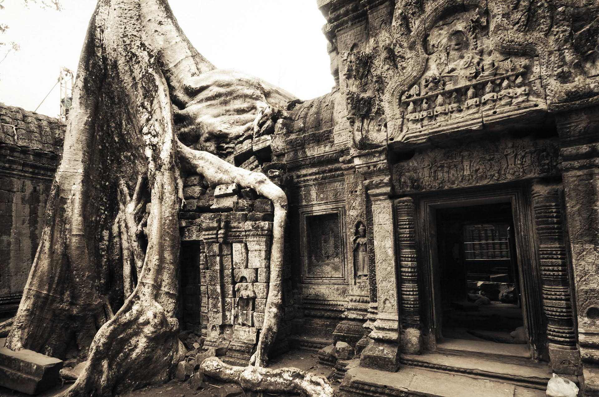Ta Prohm