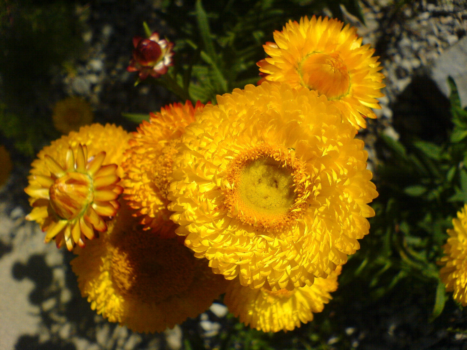 2006-07-16 - Various - 0215