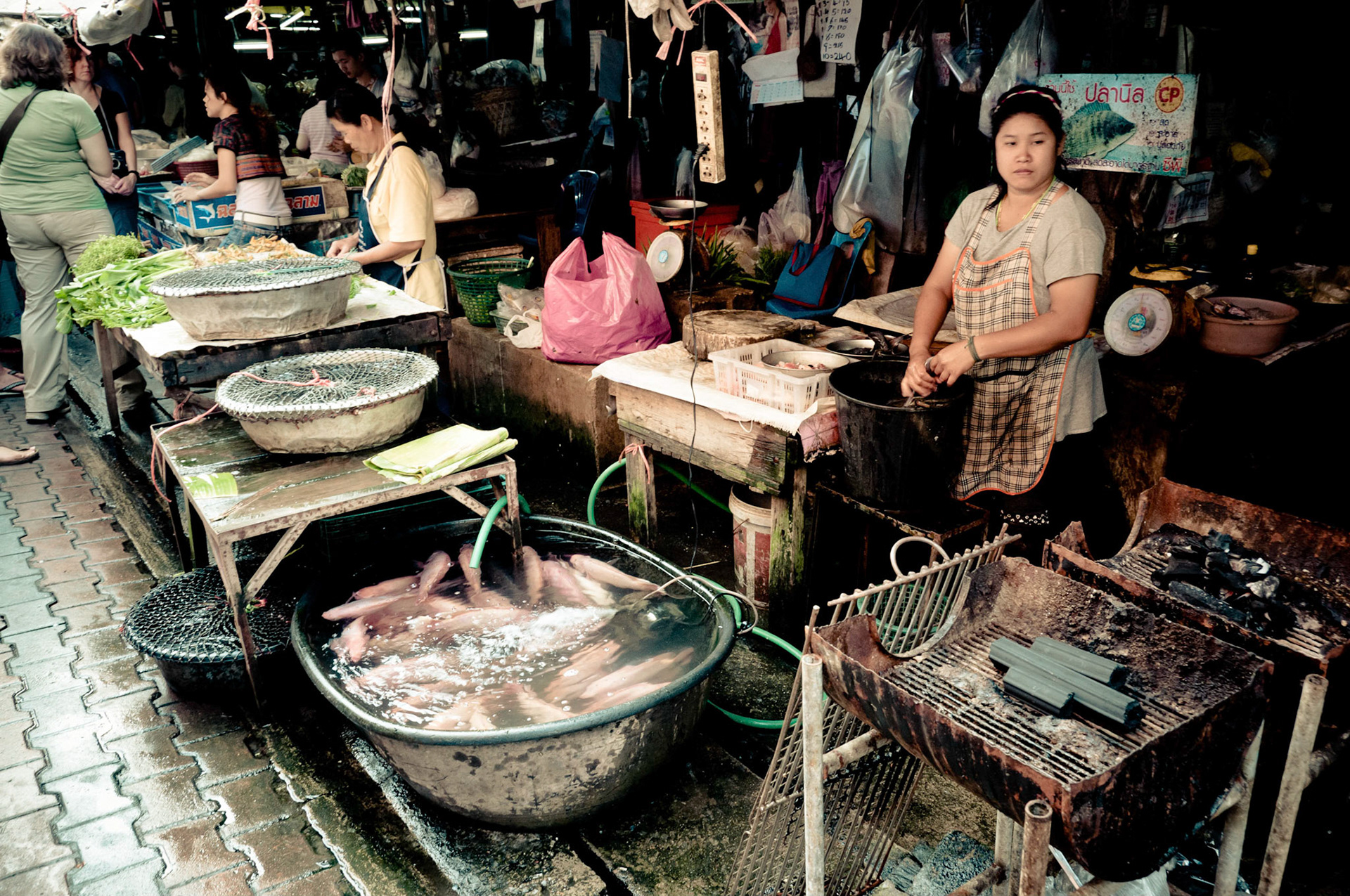 Fish stall in Talat Somphet, Chiang Mai