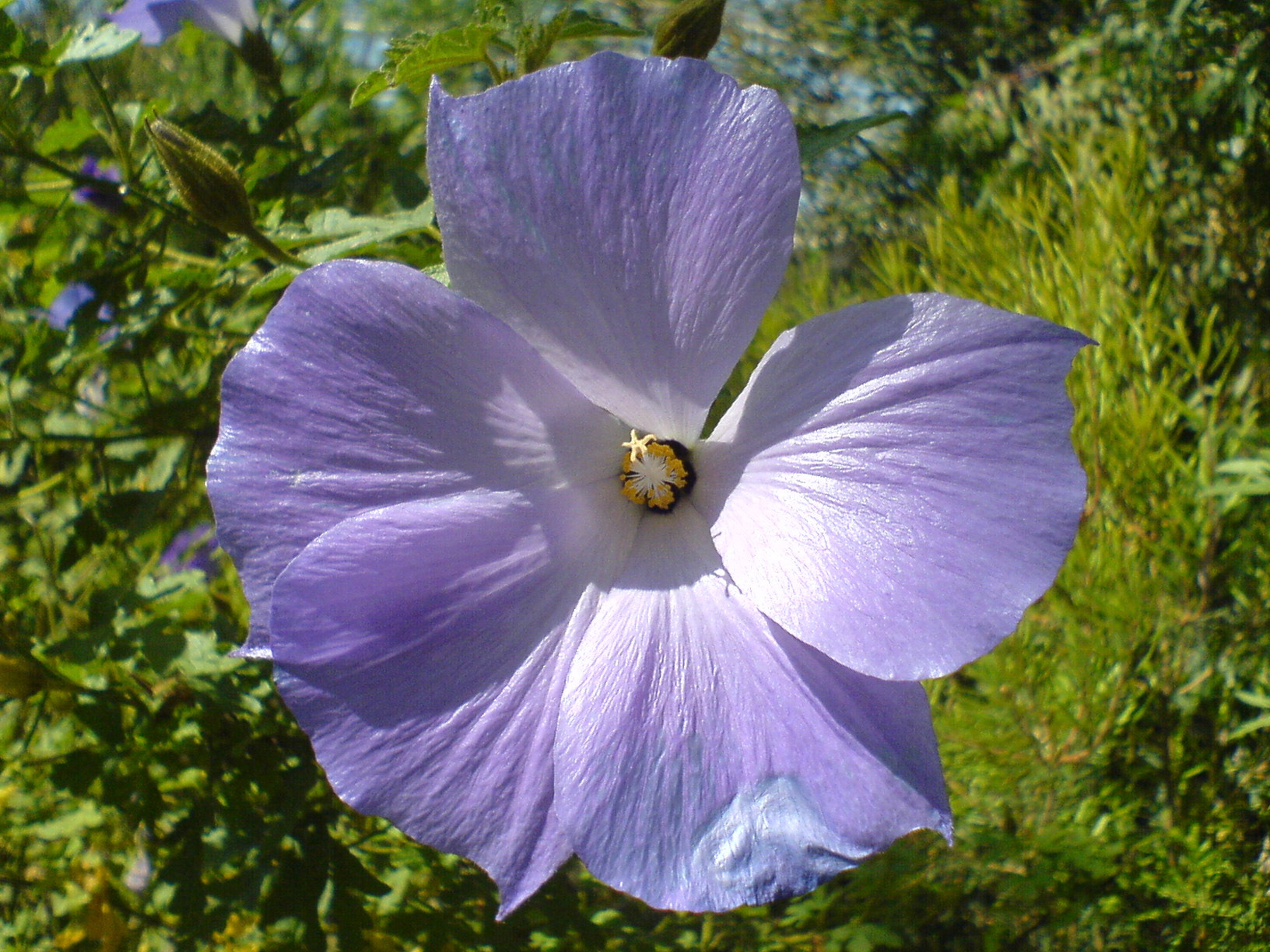 2006-07-16 - Various - 0227