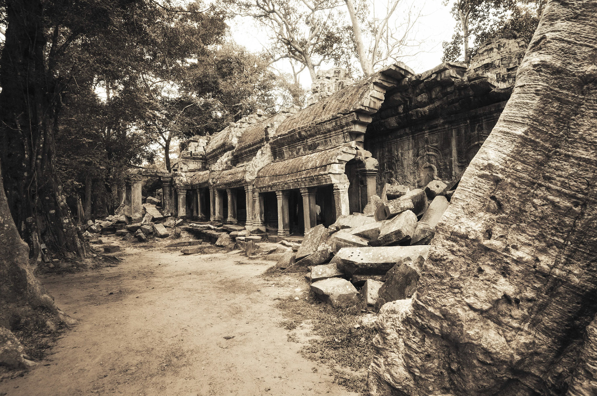 Ta Prohm