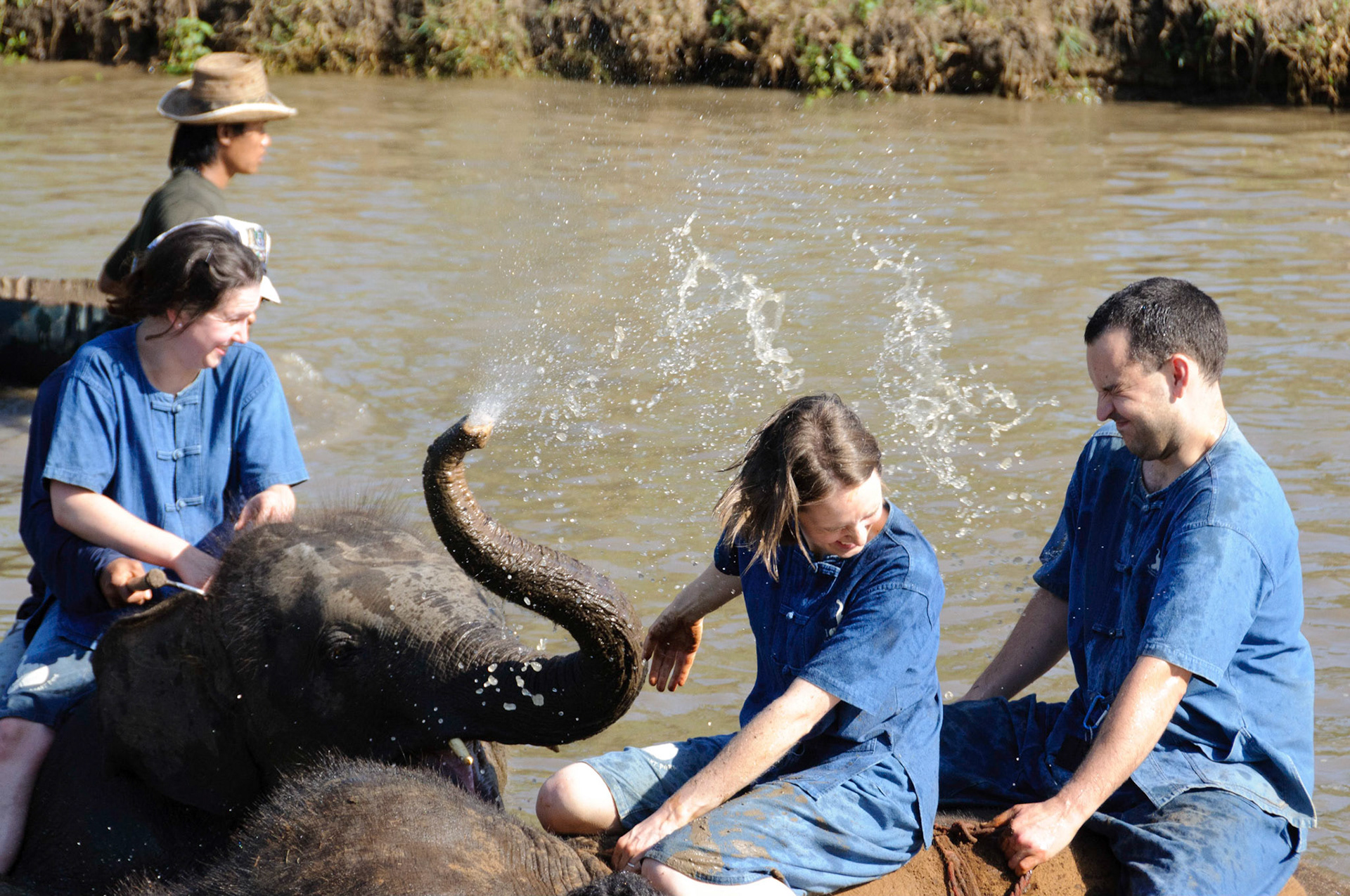 Baan Chang Elephant Park, Chiang Mai