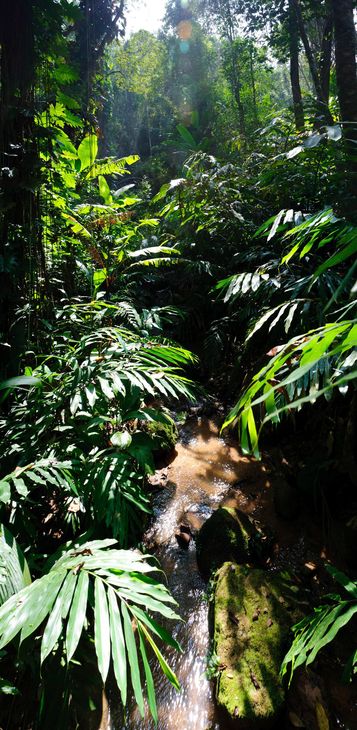 Queen Sirikit Botanical Garden, Chiang Mai