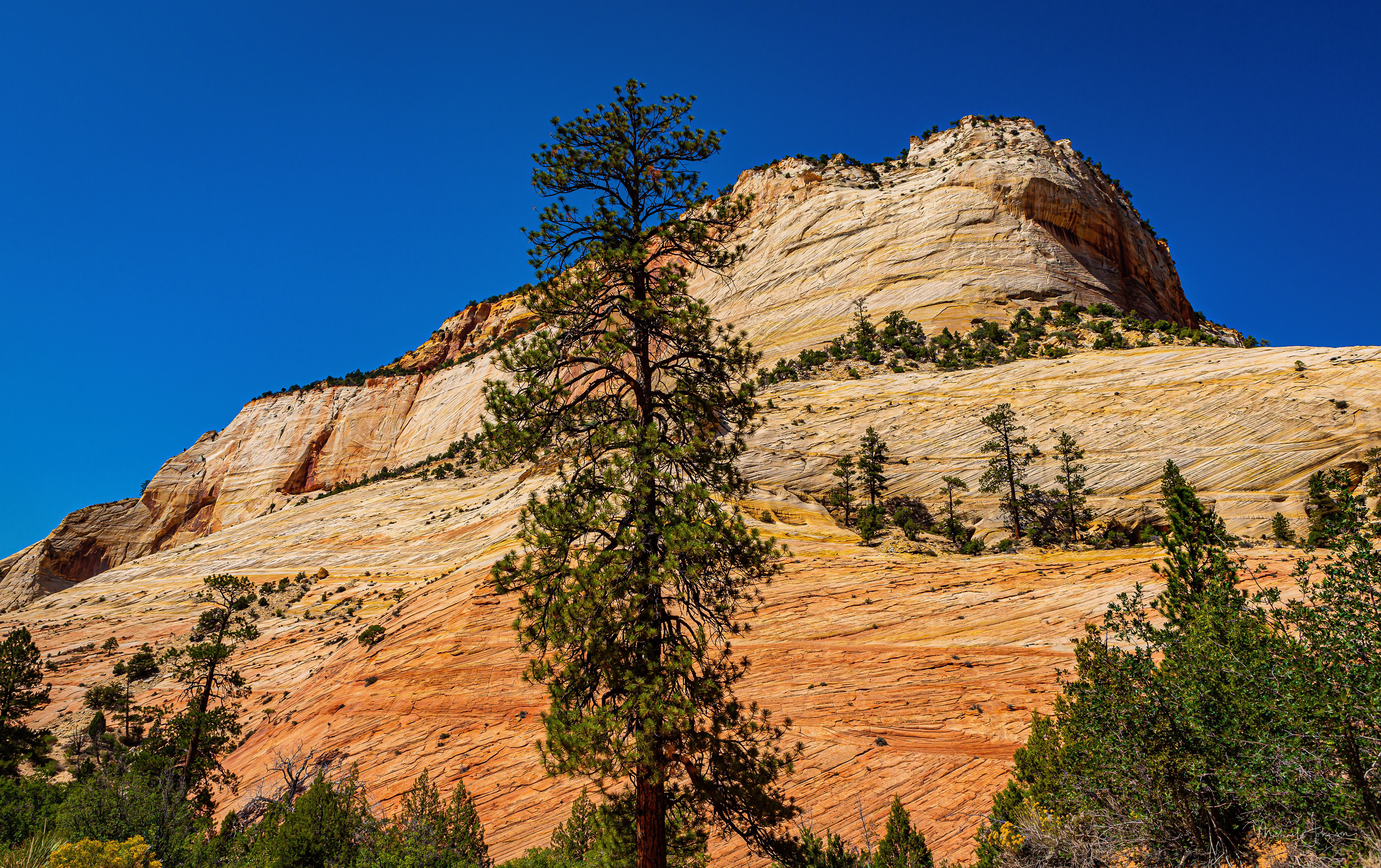 Zion National Park - Eastern Gate