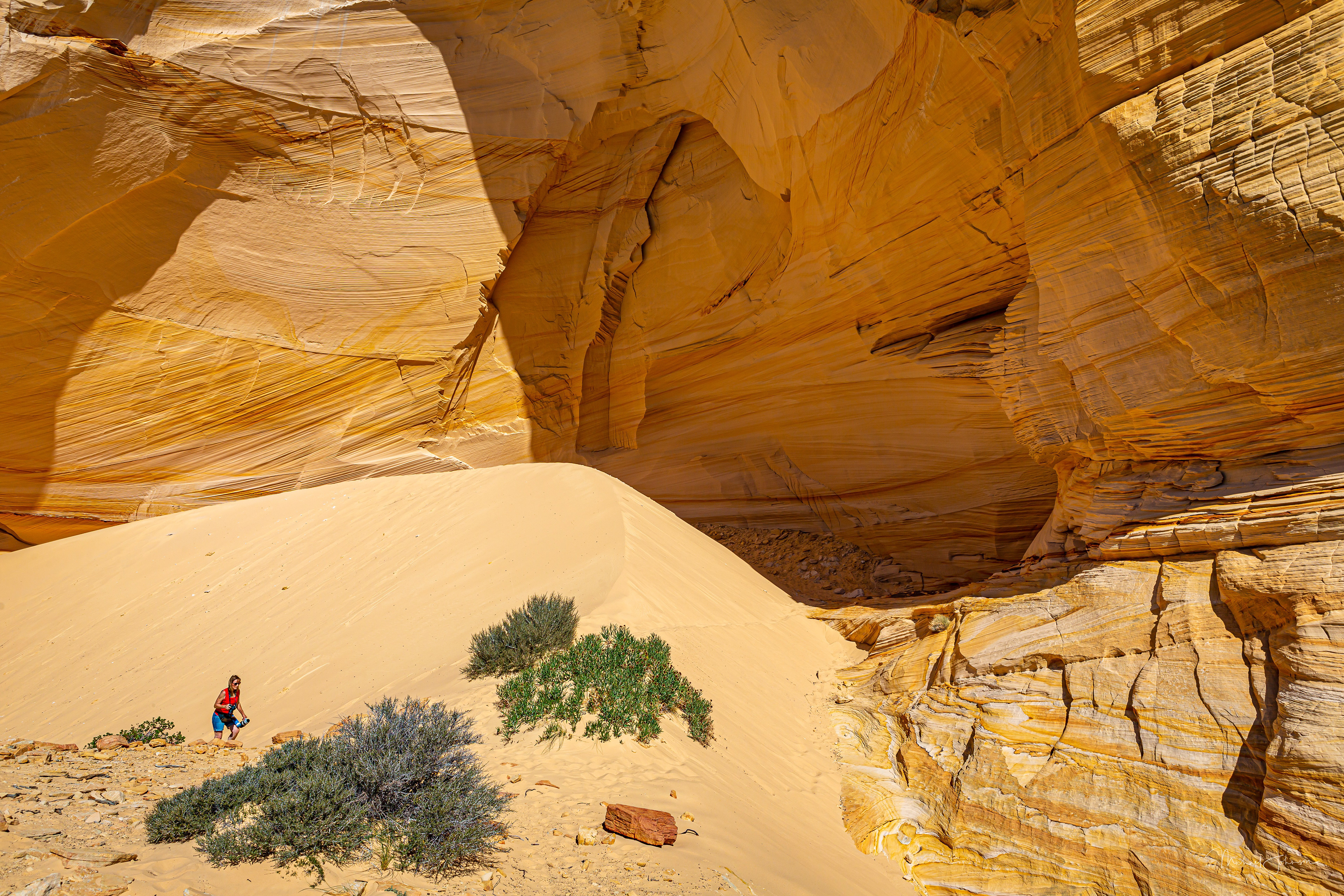 The Great Chamber - Lauren Johnson