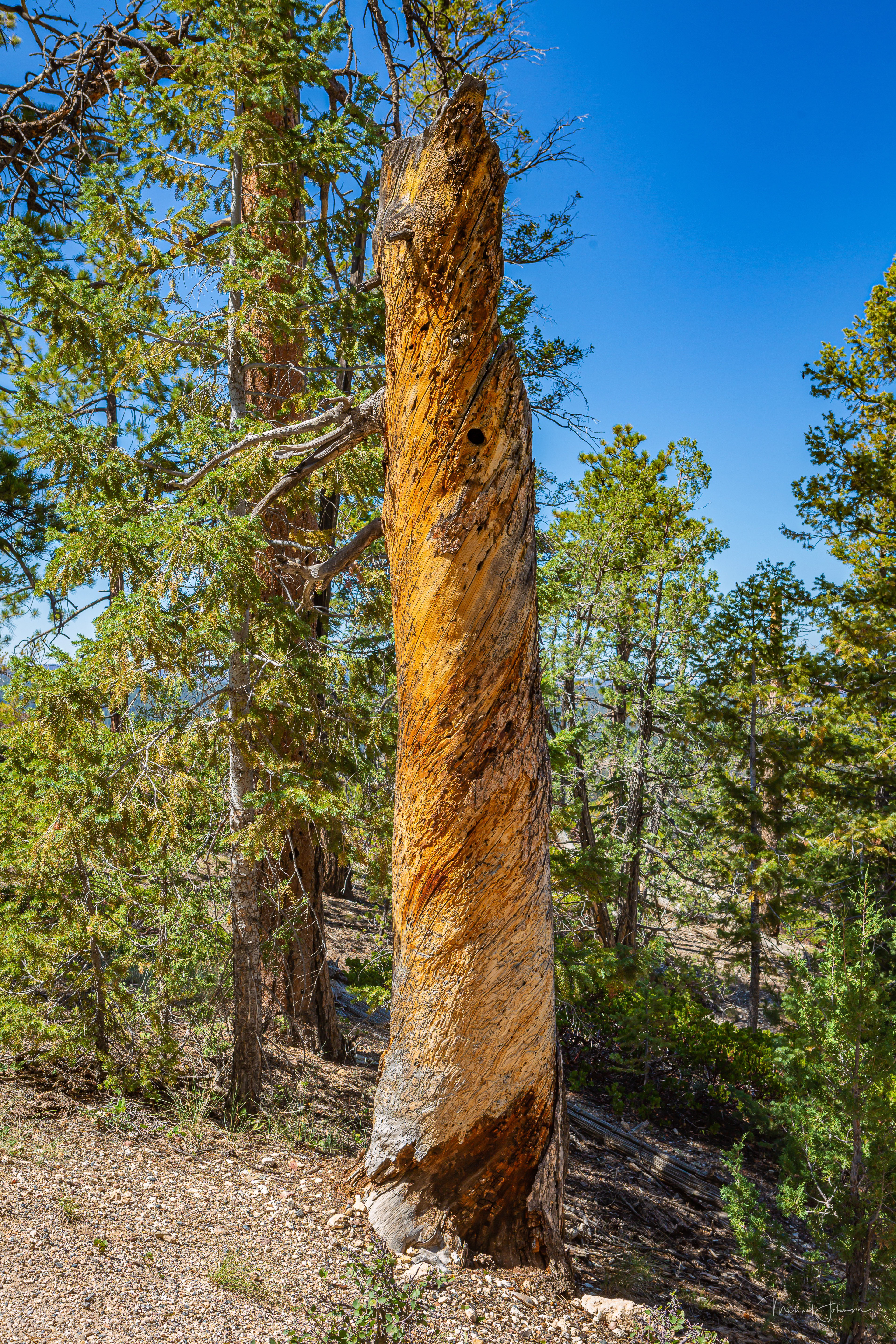 Bryce Canyon National Park - Inspiration Point to Bryce Point