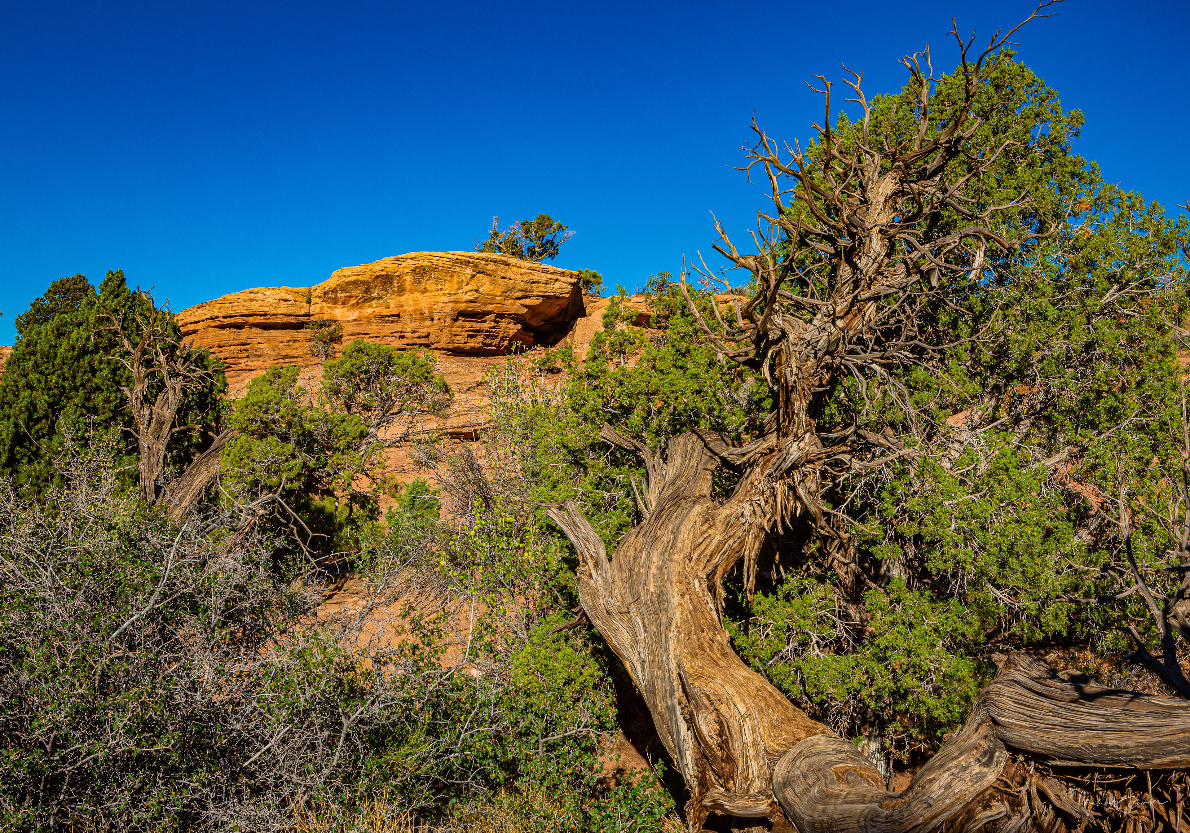 Arches National Park - Delicate Arch