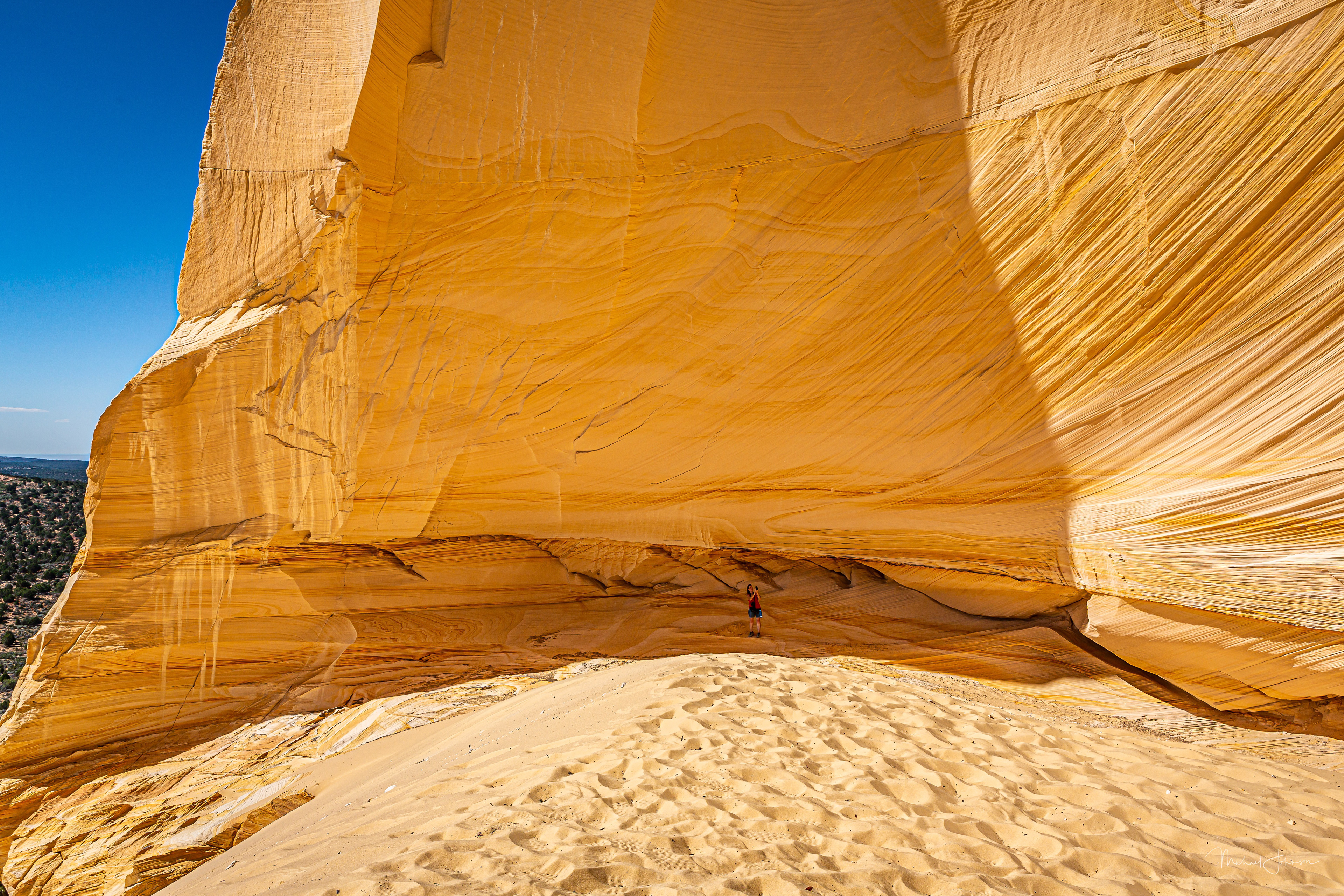 The Great Chamber - Lauren Johnson