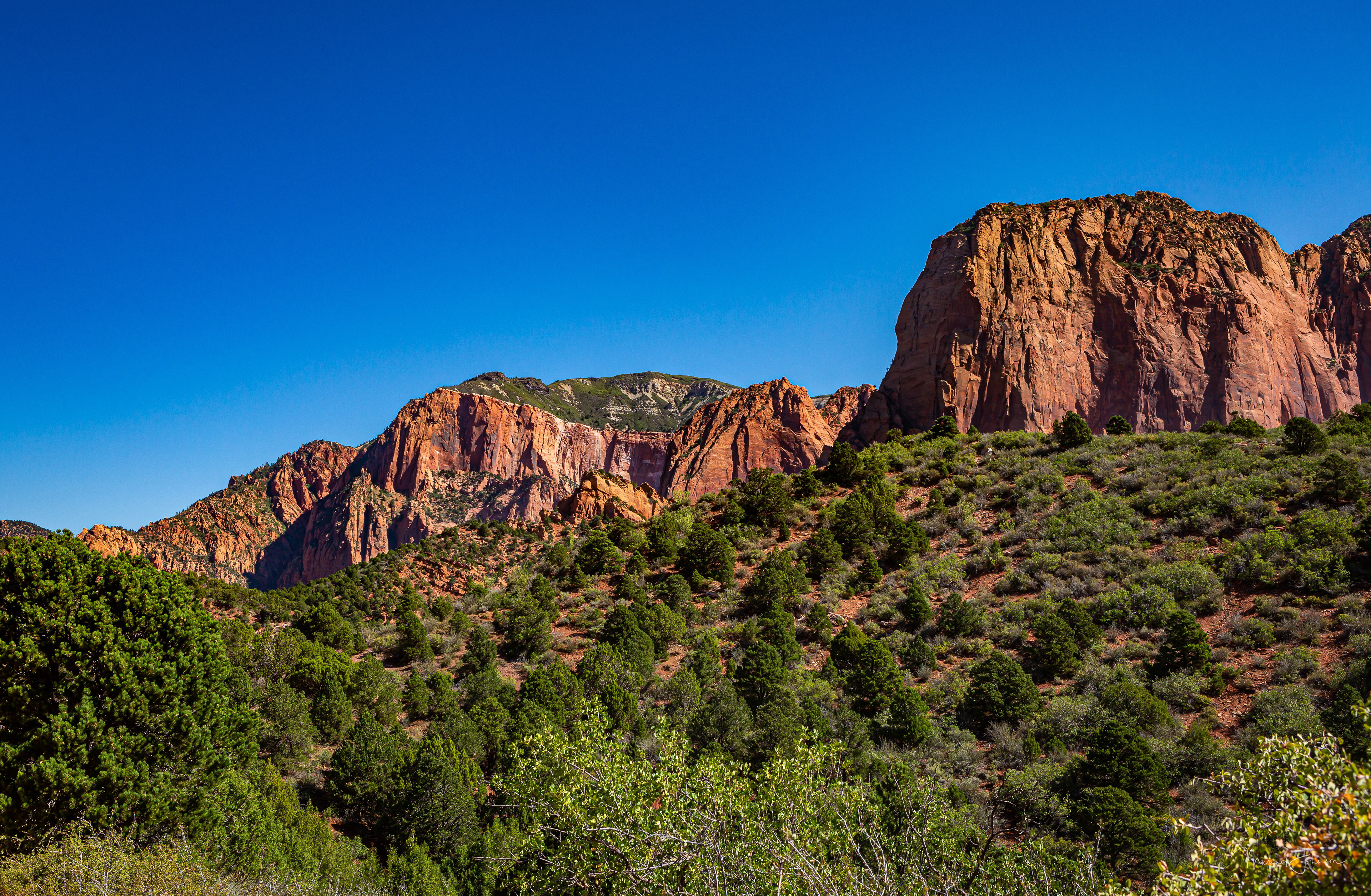 Zion National Park - Kolob Canyon