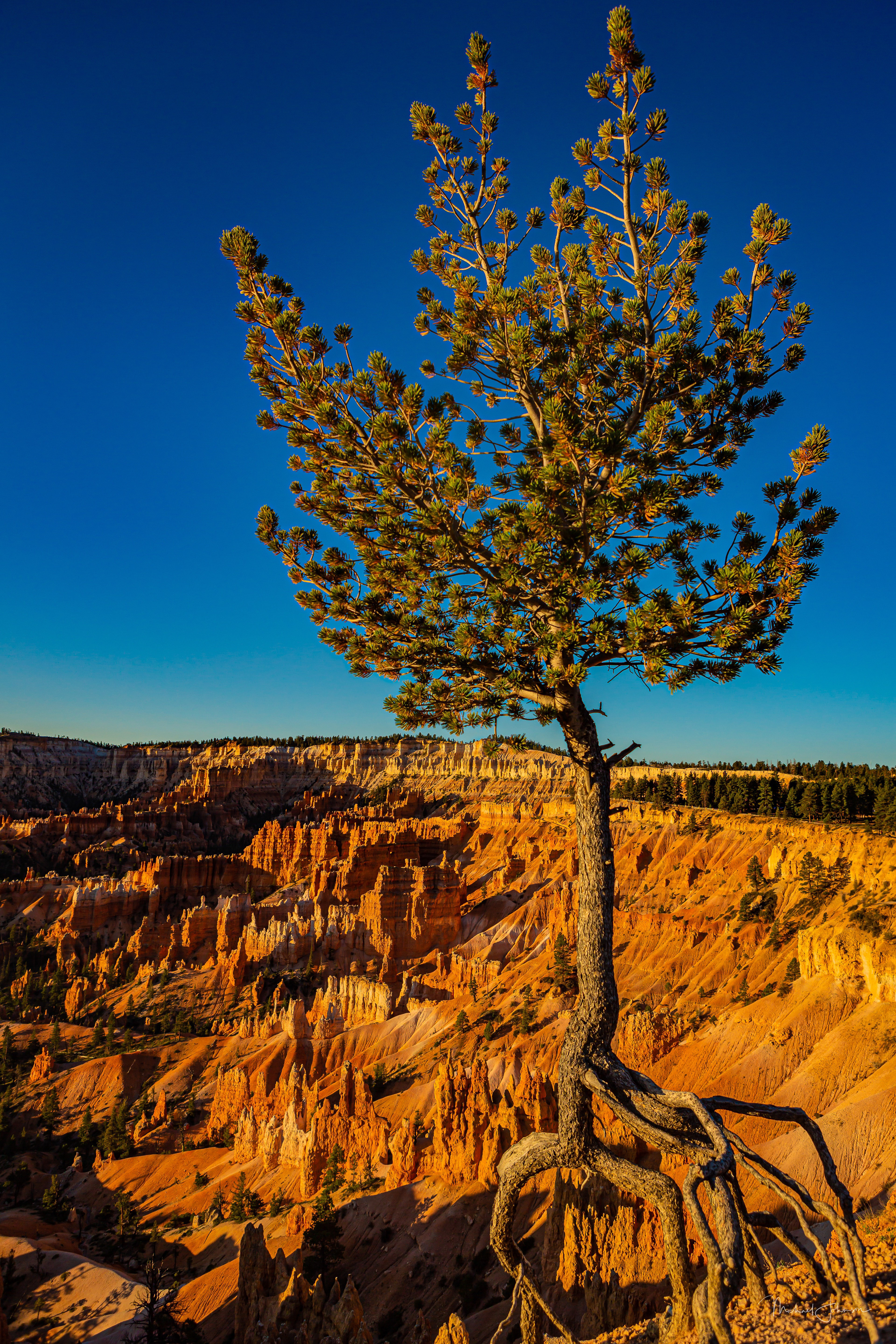 Bryce Canyon National Park - Sunrise Point