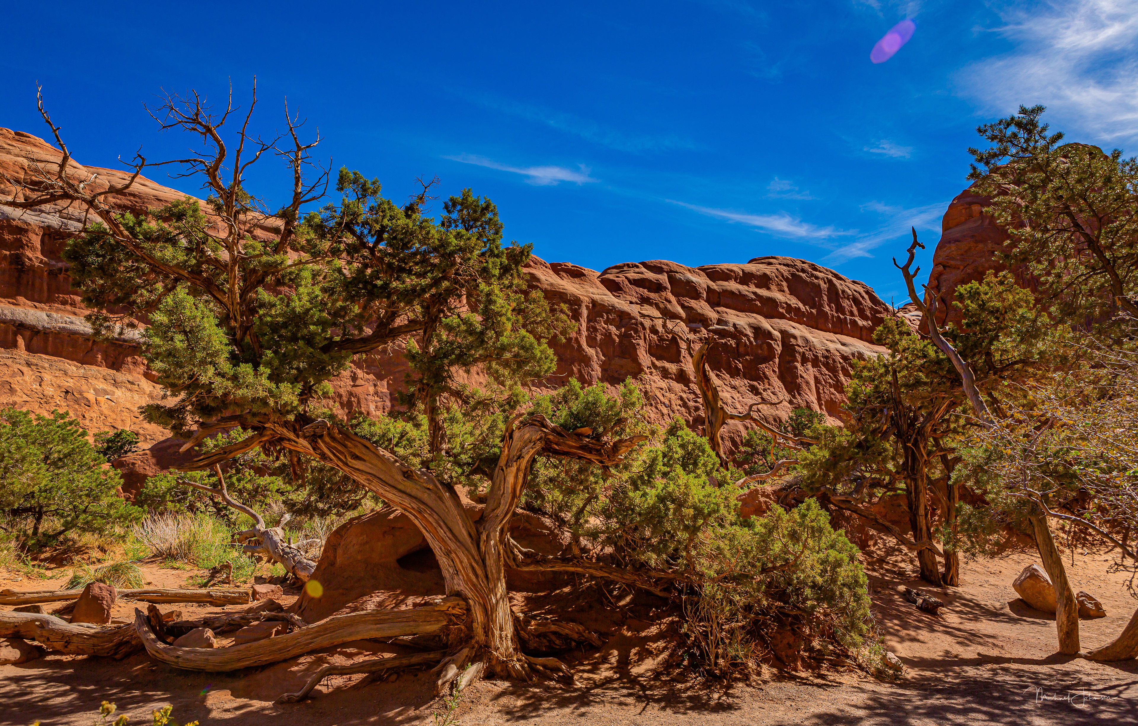 Arches National Park 