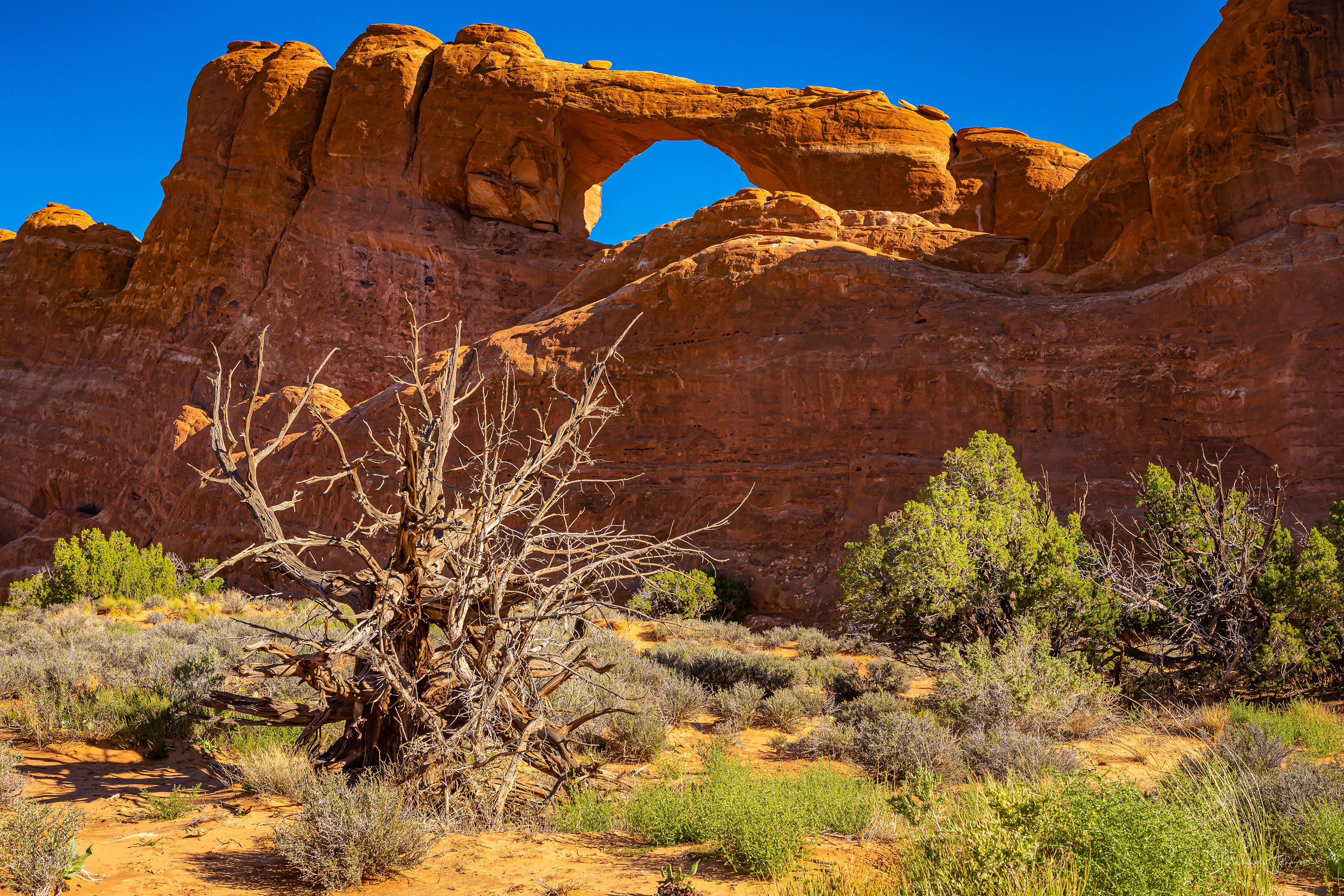 Arches National Park - Sand Dune Arch