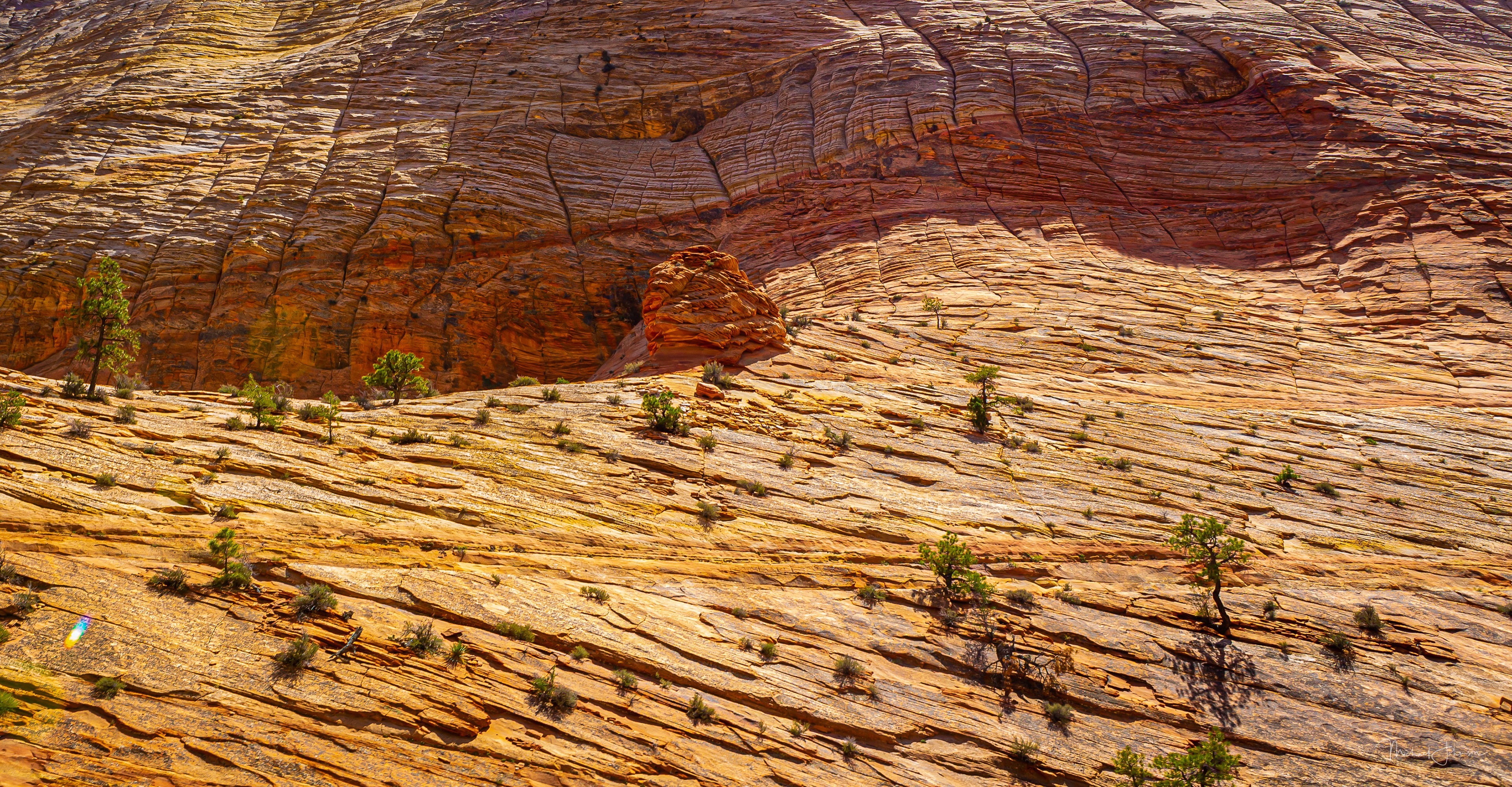 Zion National Park - Eastern Gate