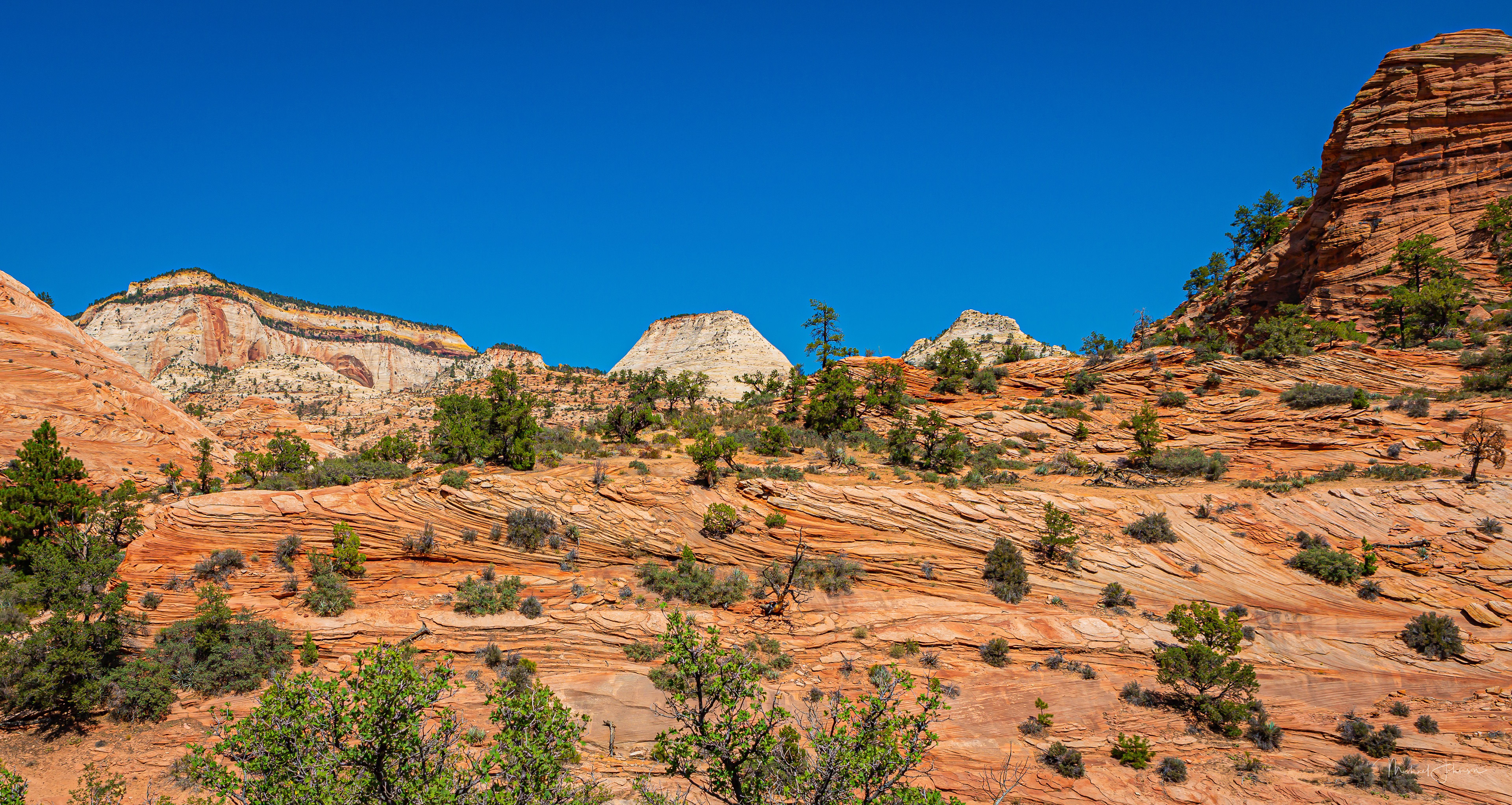 Zion National Park - Eastern Gate