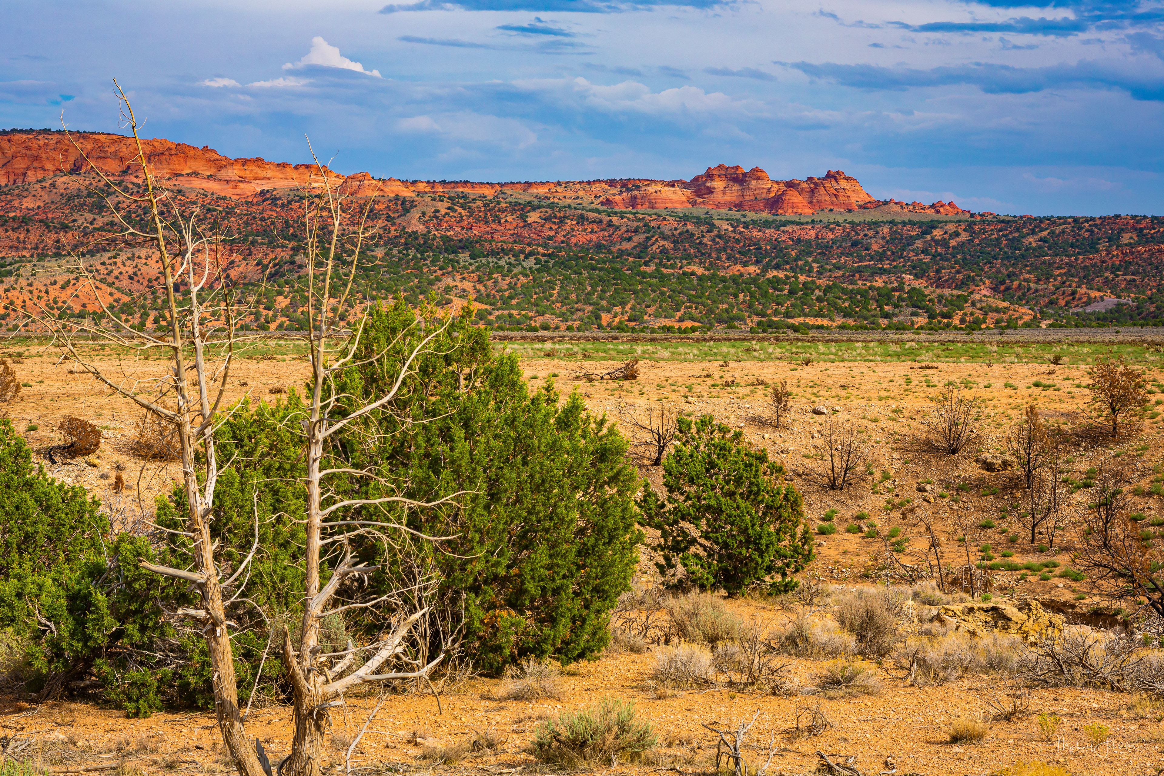 Vermilion Cliffs