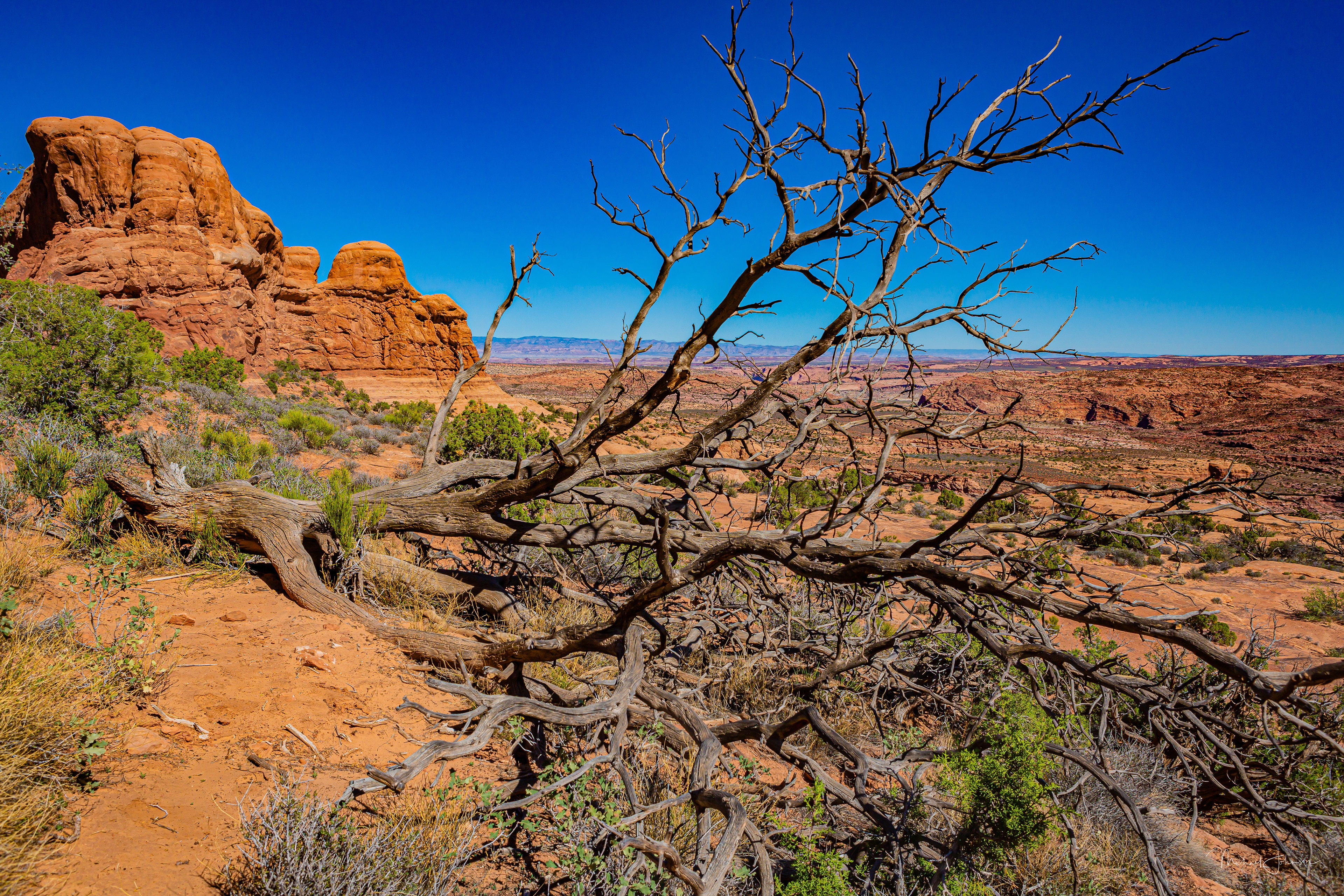 Arches National Park