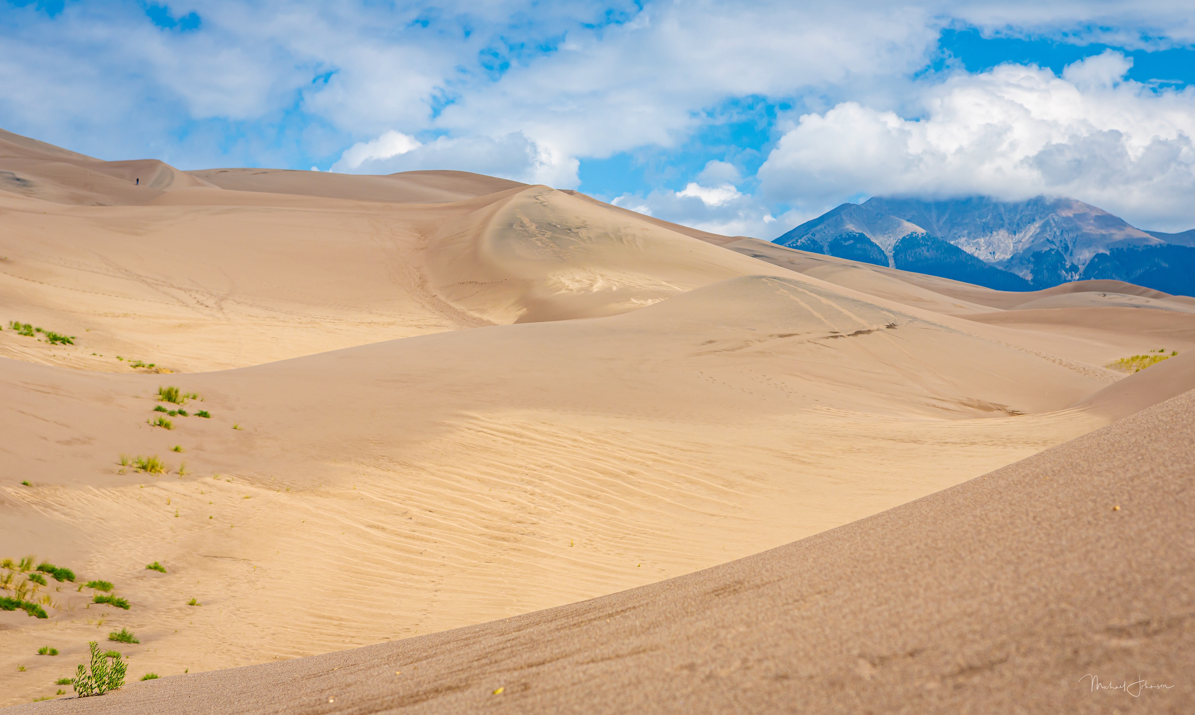 extures and Patterns on the Dunes