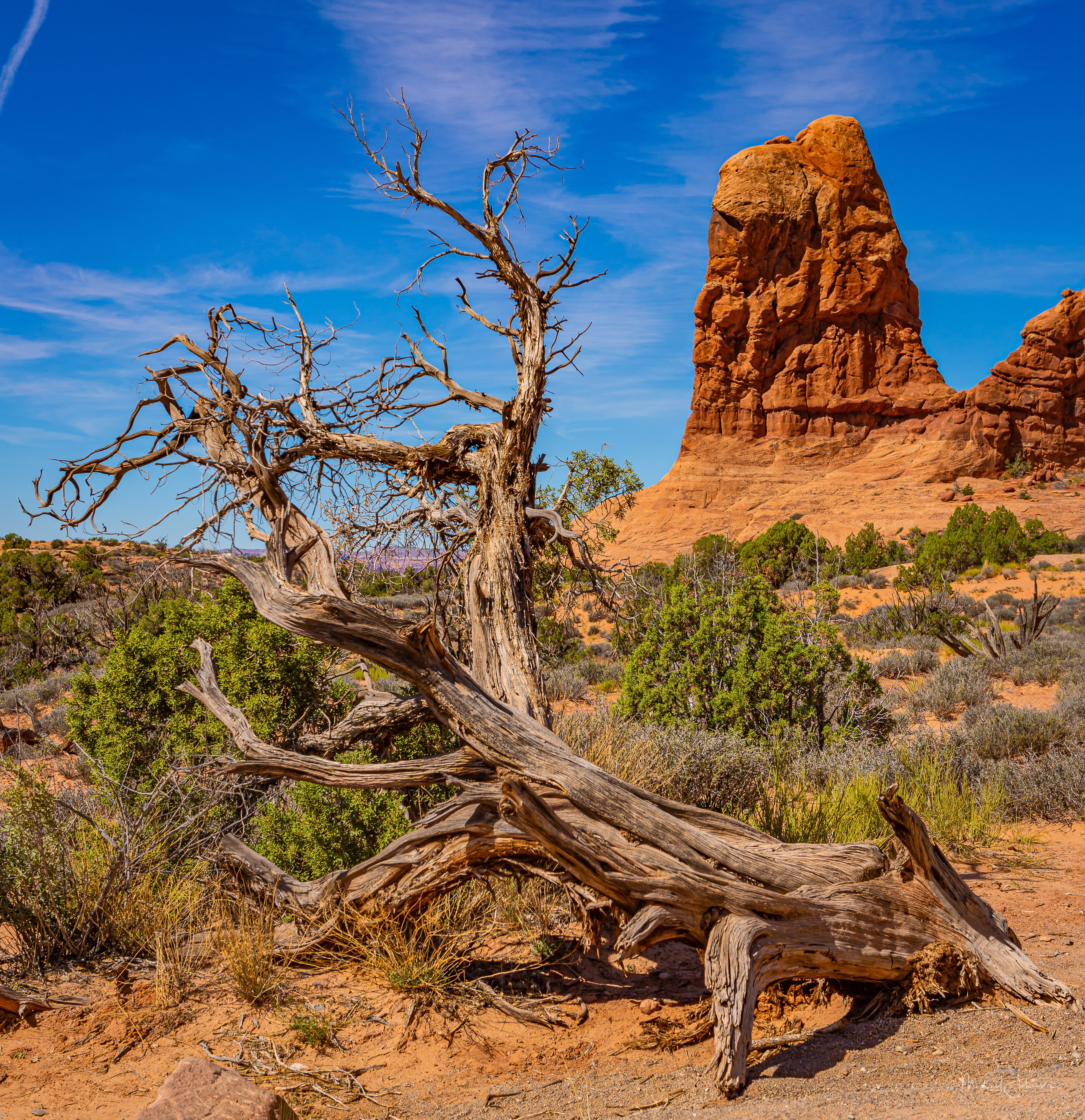 Arches National Park