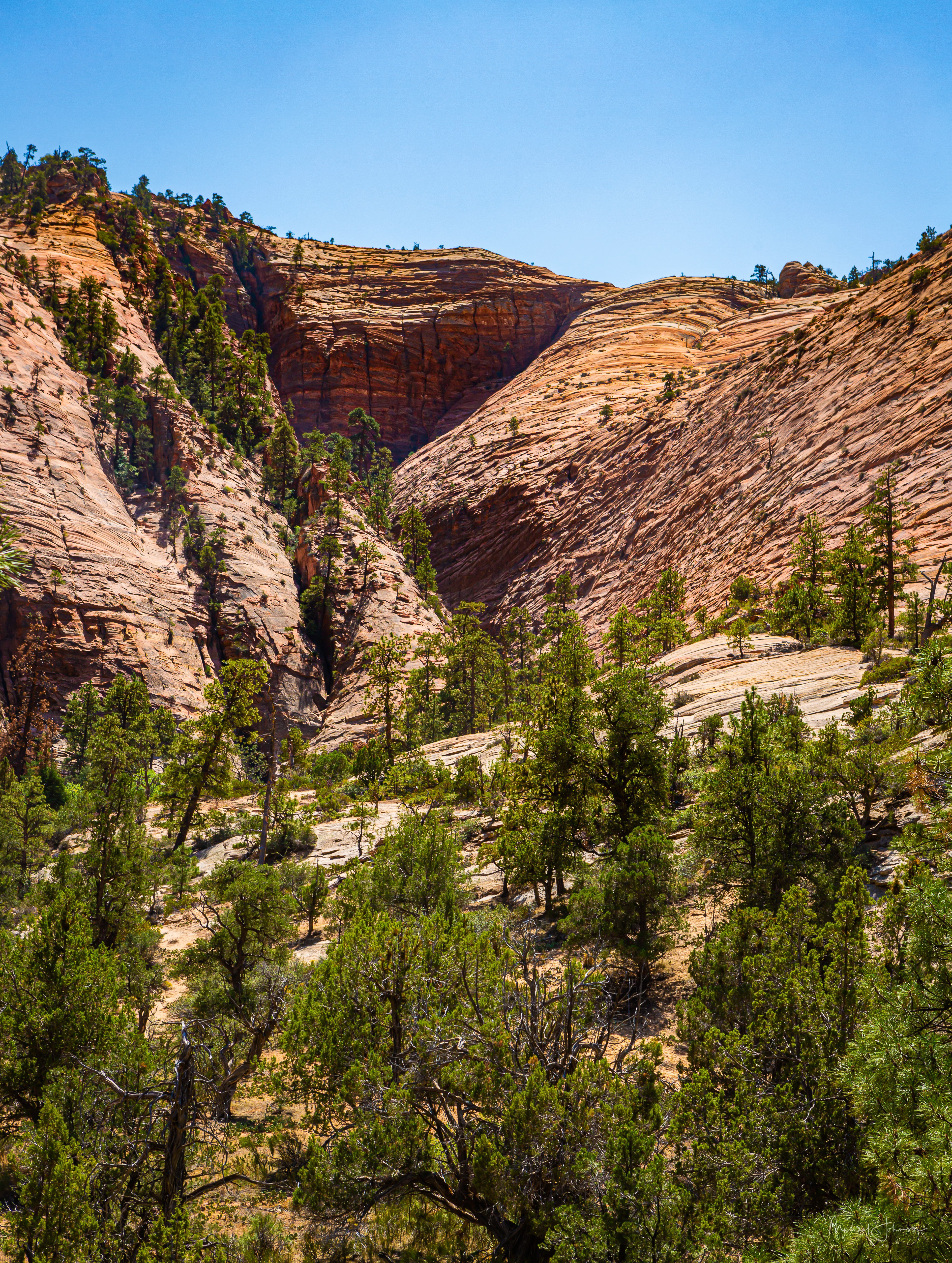 Zion National Park - Eastern Gate
