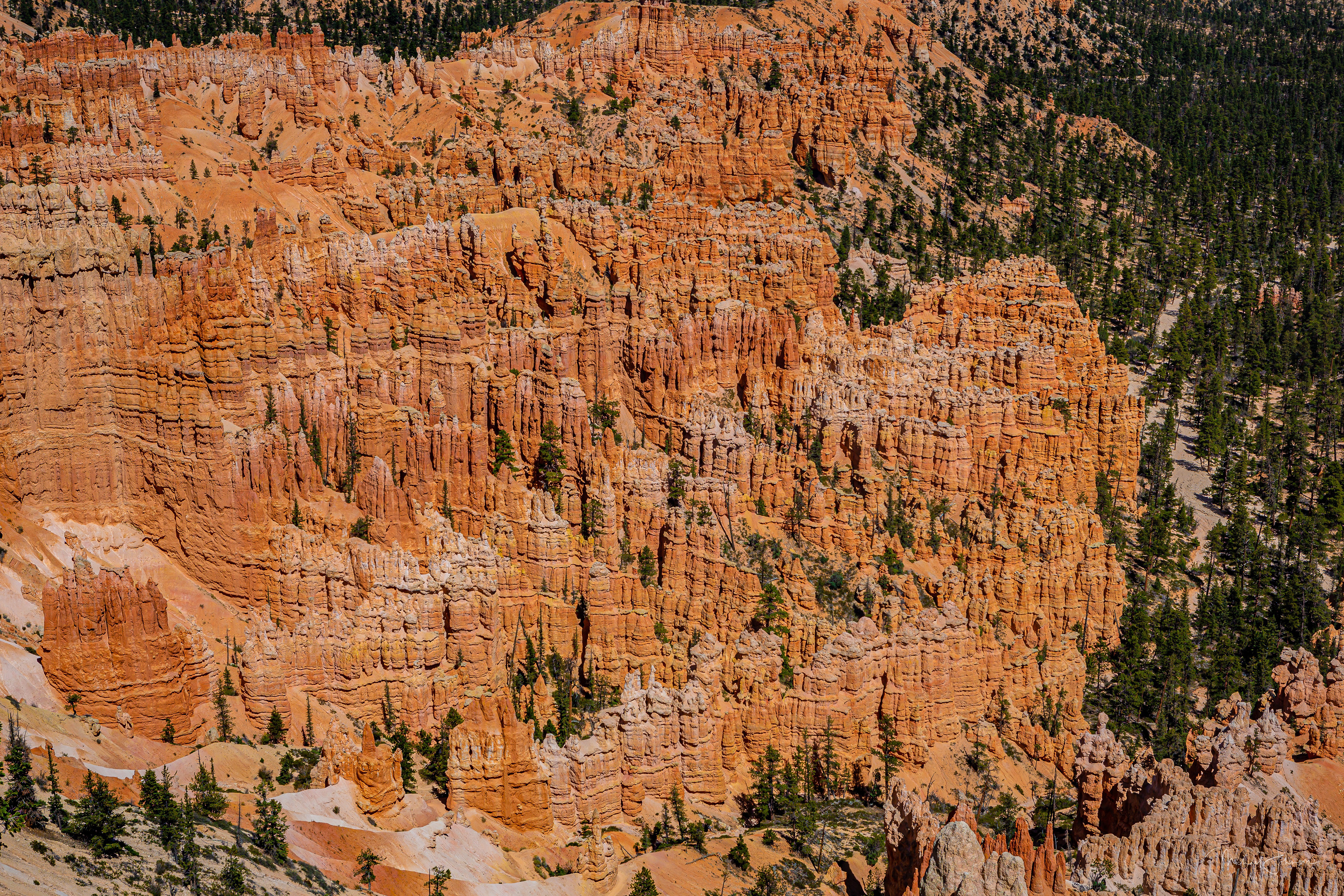 Bryce Canyon National Park - Inspiration Point to Bryce Point