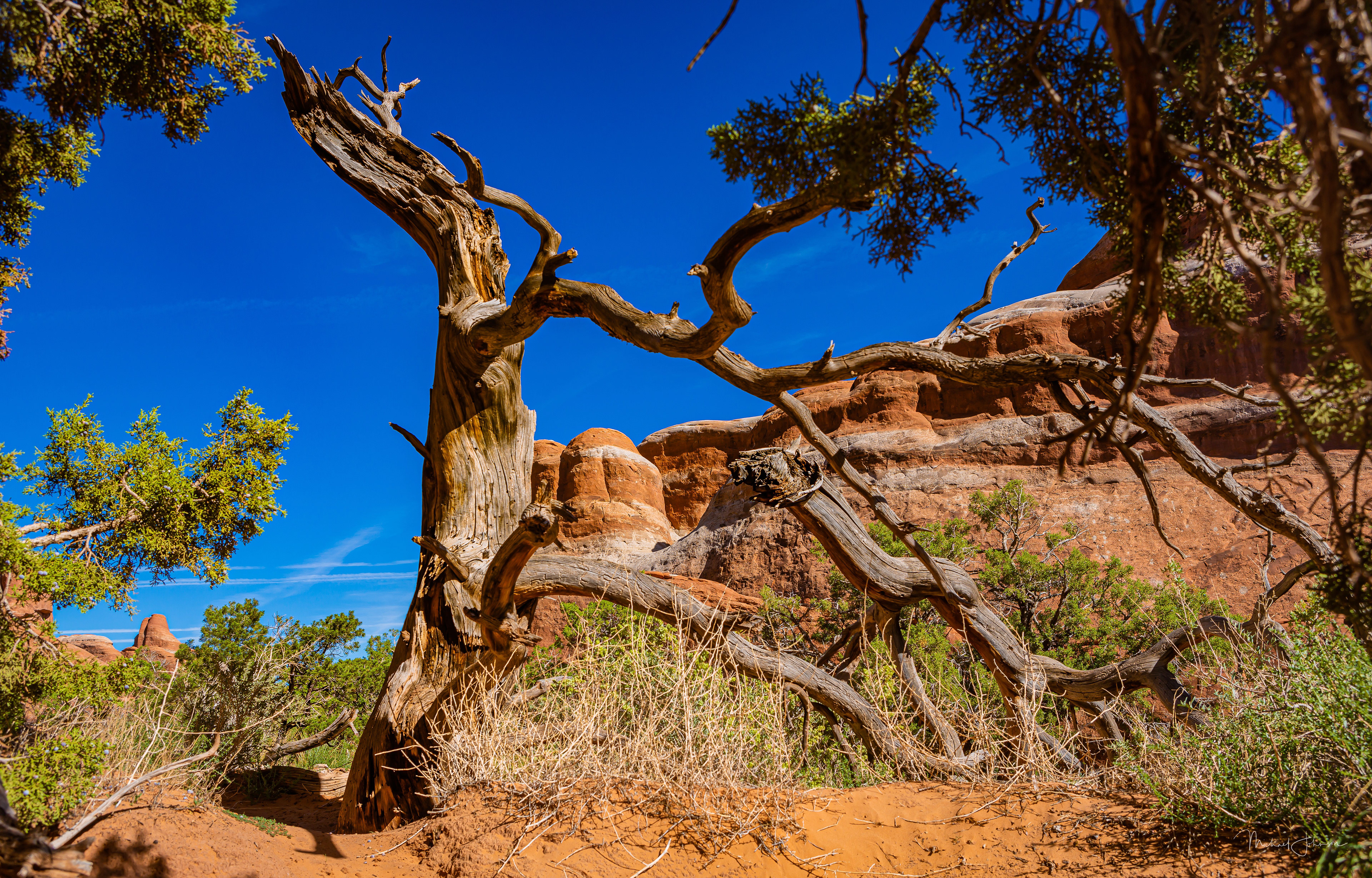Arches National Park 