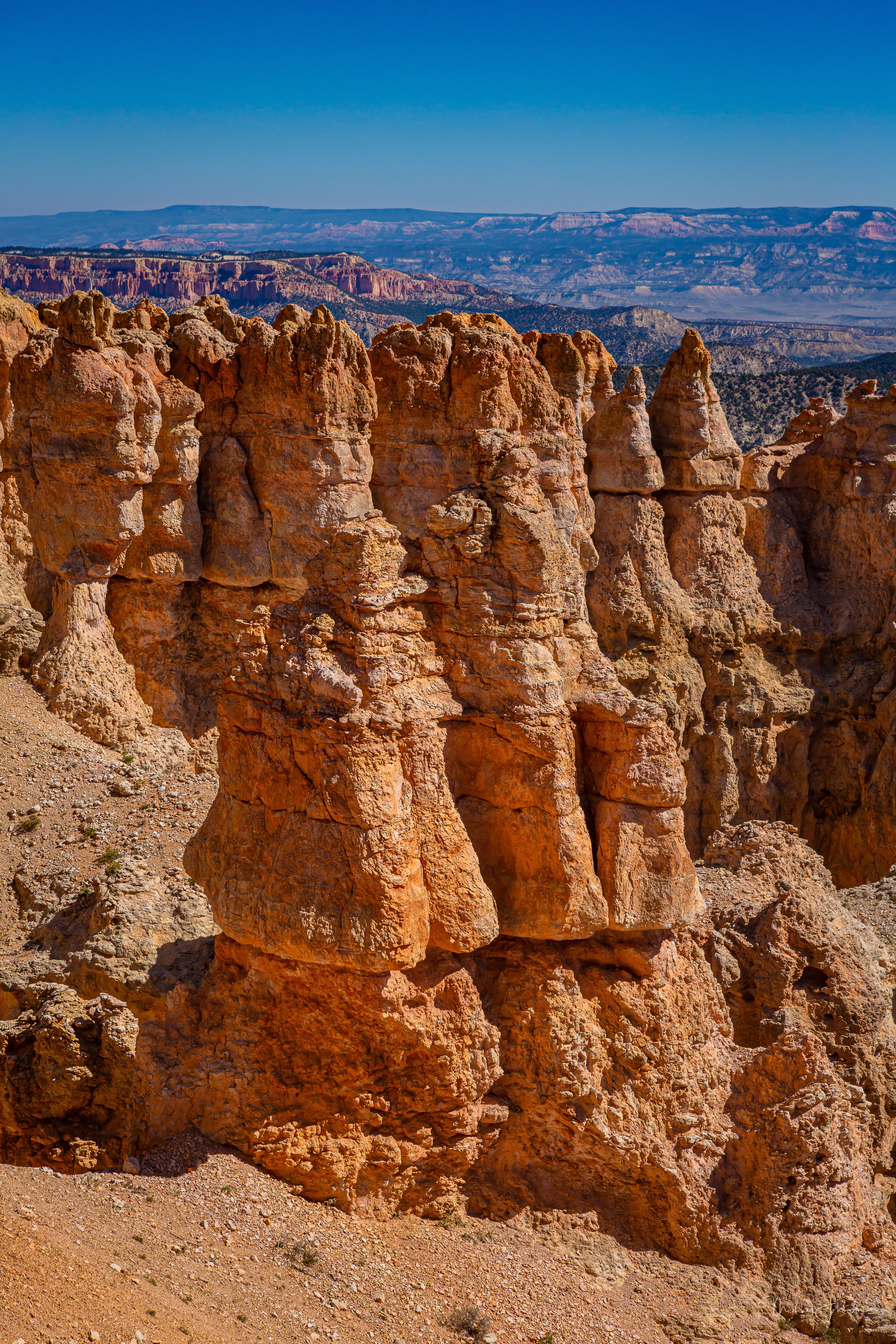 Bryce Canyon National Park - Black Birch Canyon