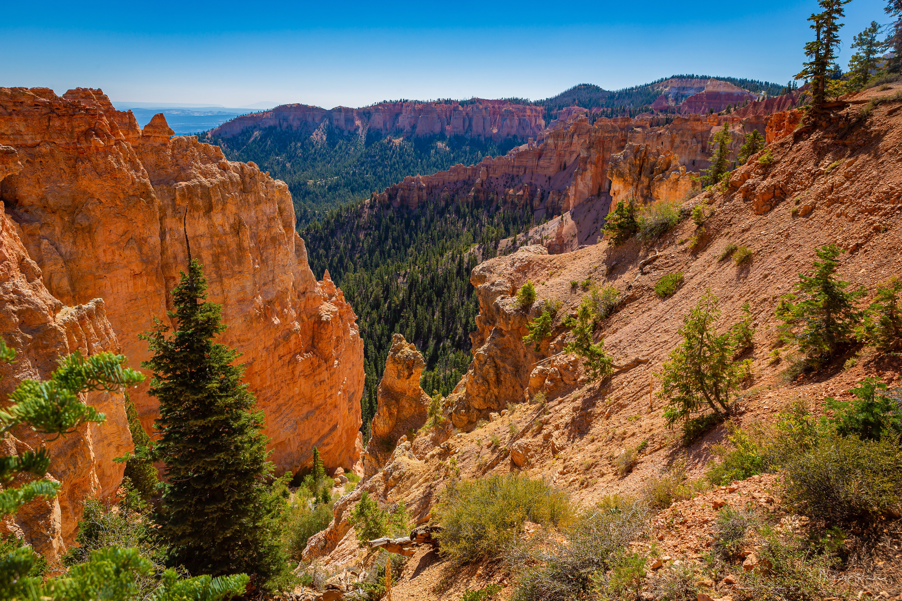 Bryce Canyon National Park - Black Birch Canyon