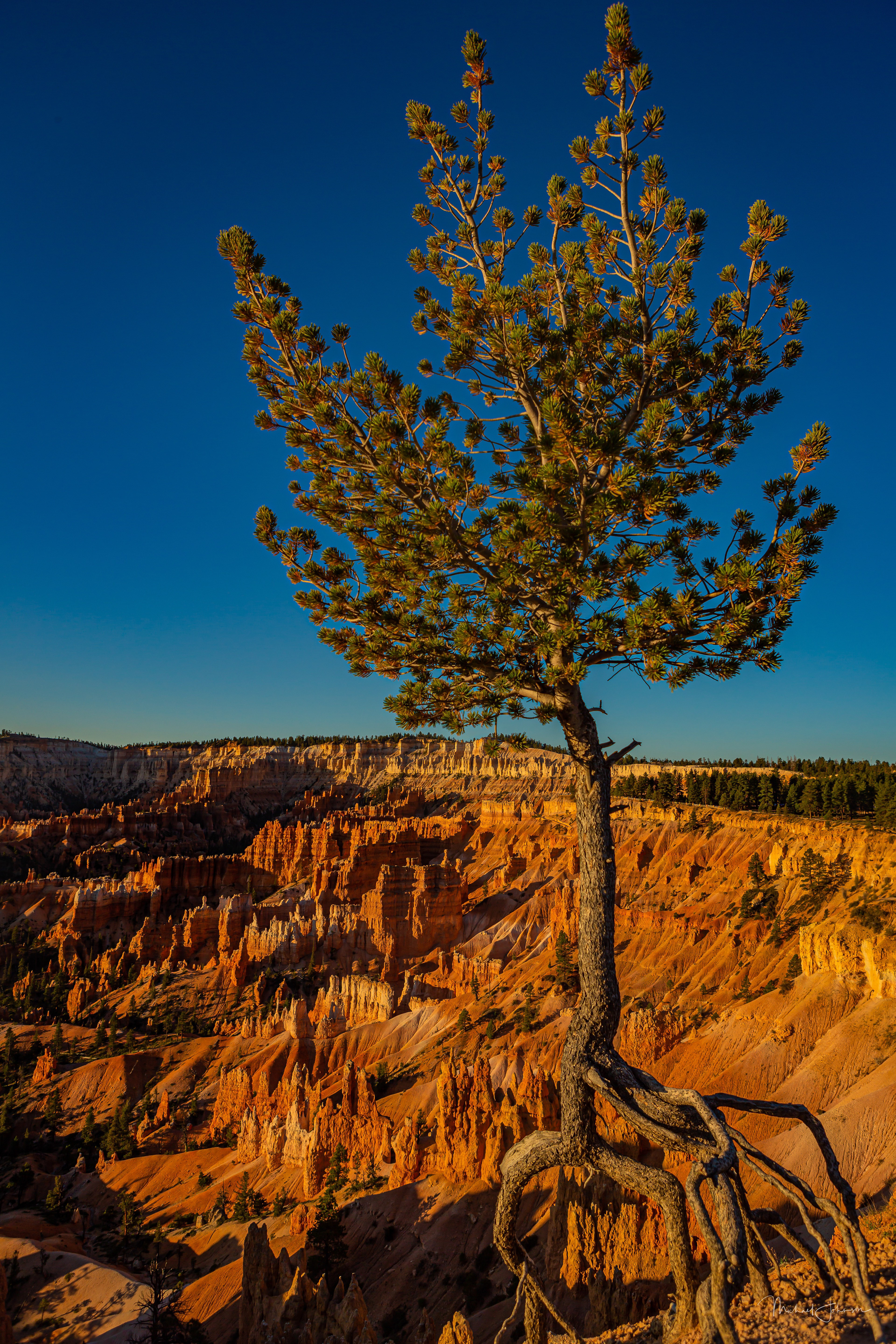 Bryce Canyon National Park - Sunrise Point