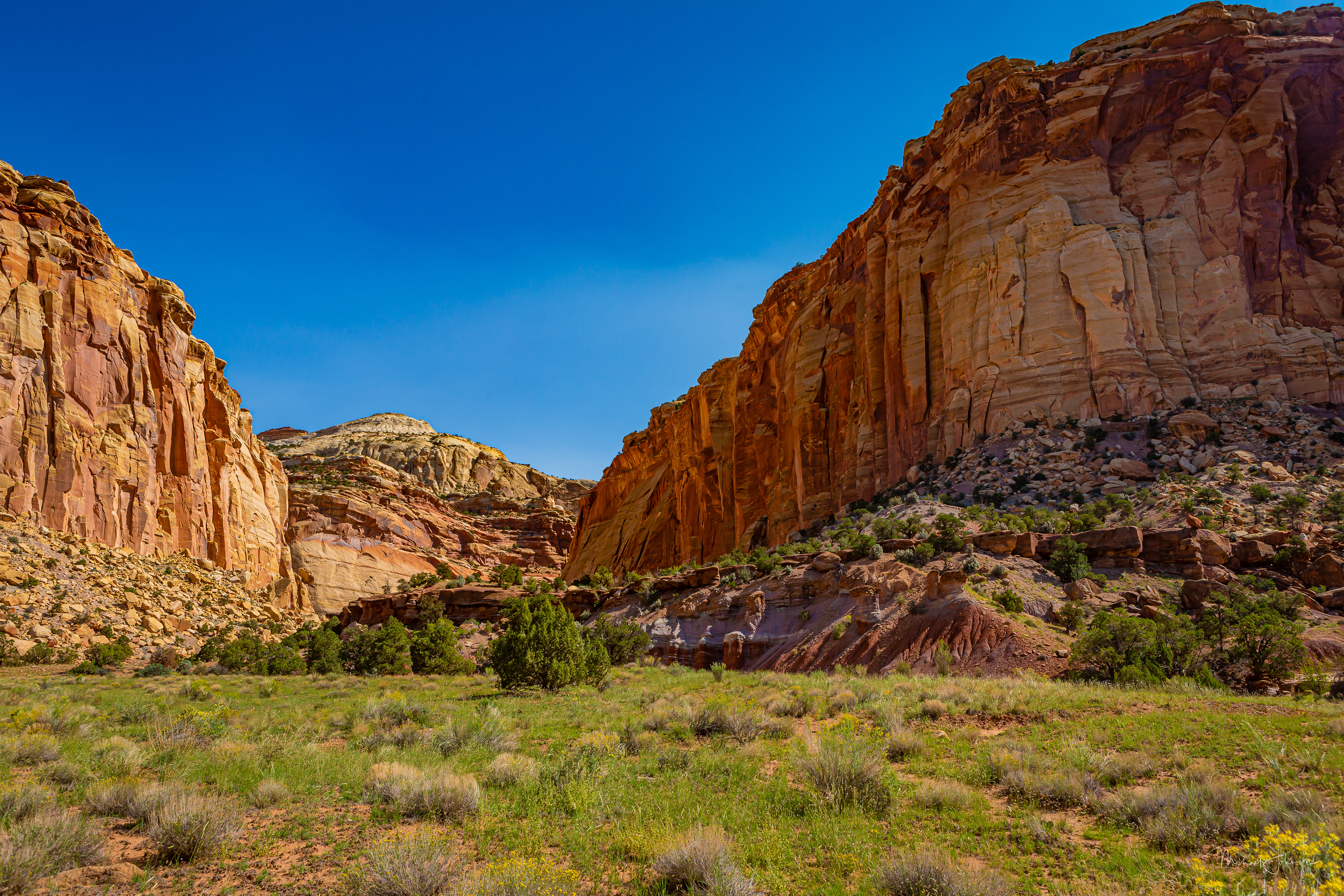 Capital Reef National Park