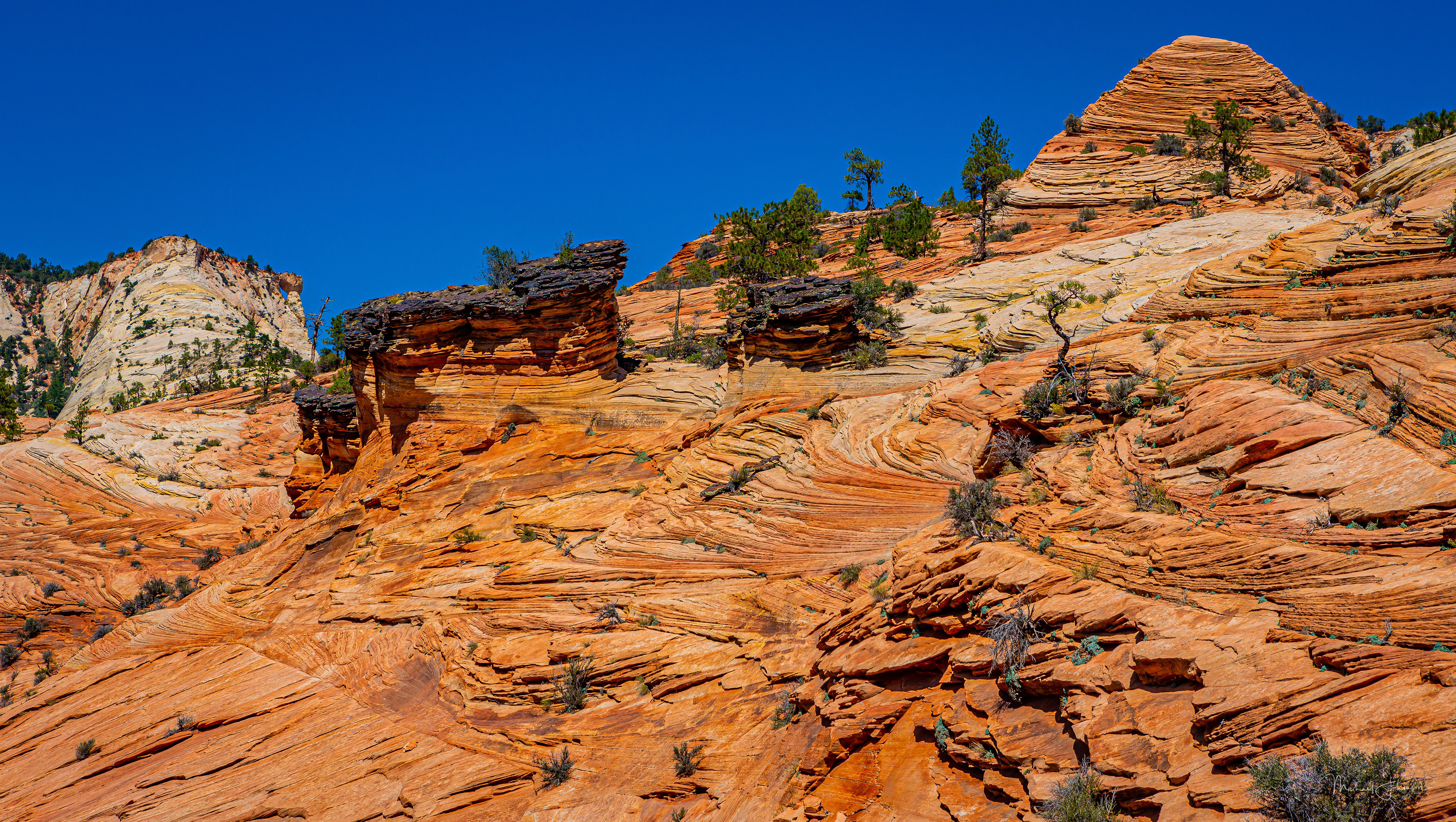 Zion National Park - Eastern Gate