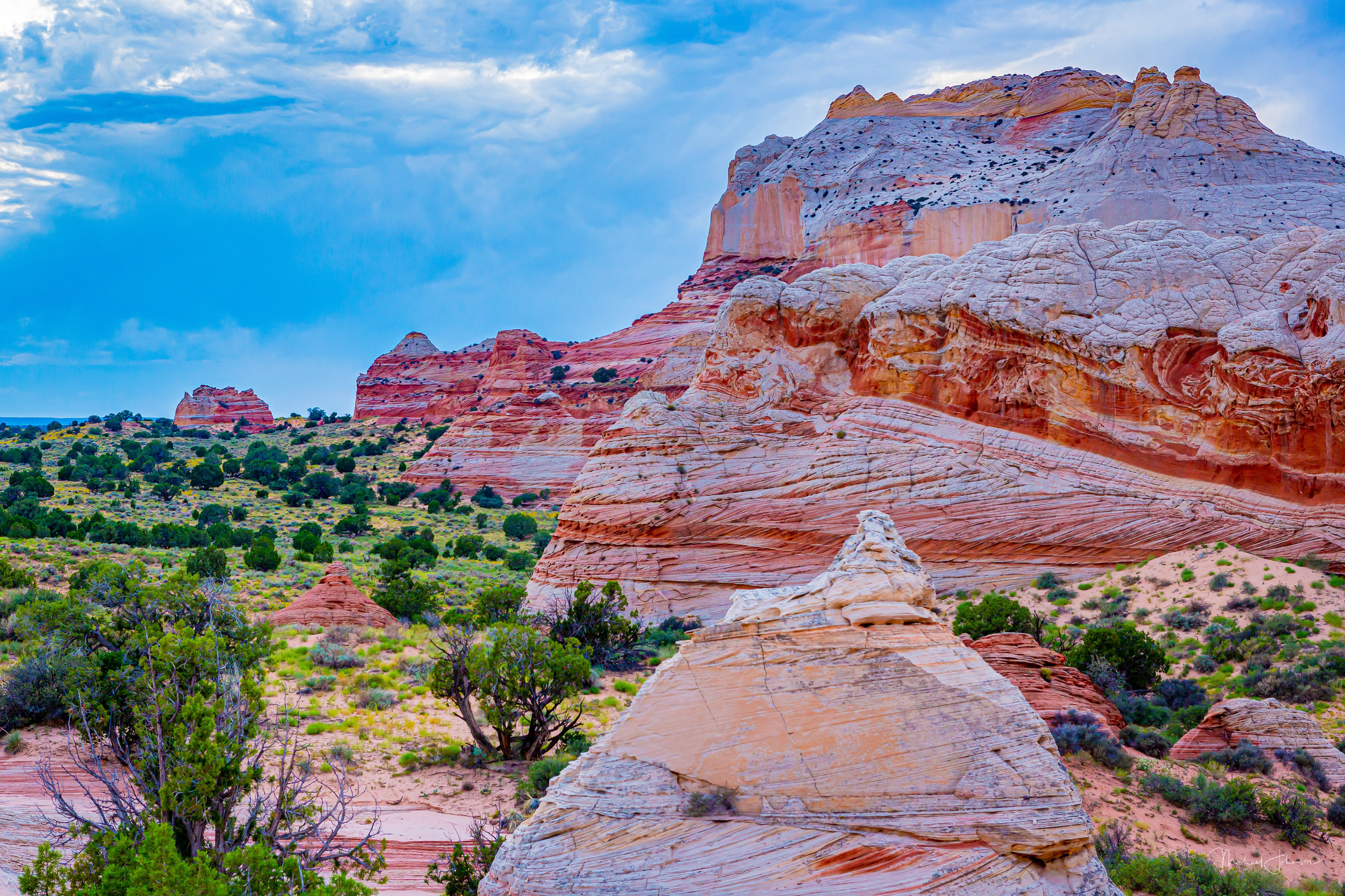 White Pocket Formation