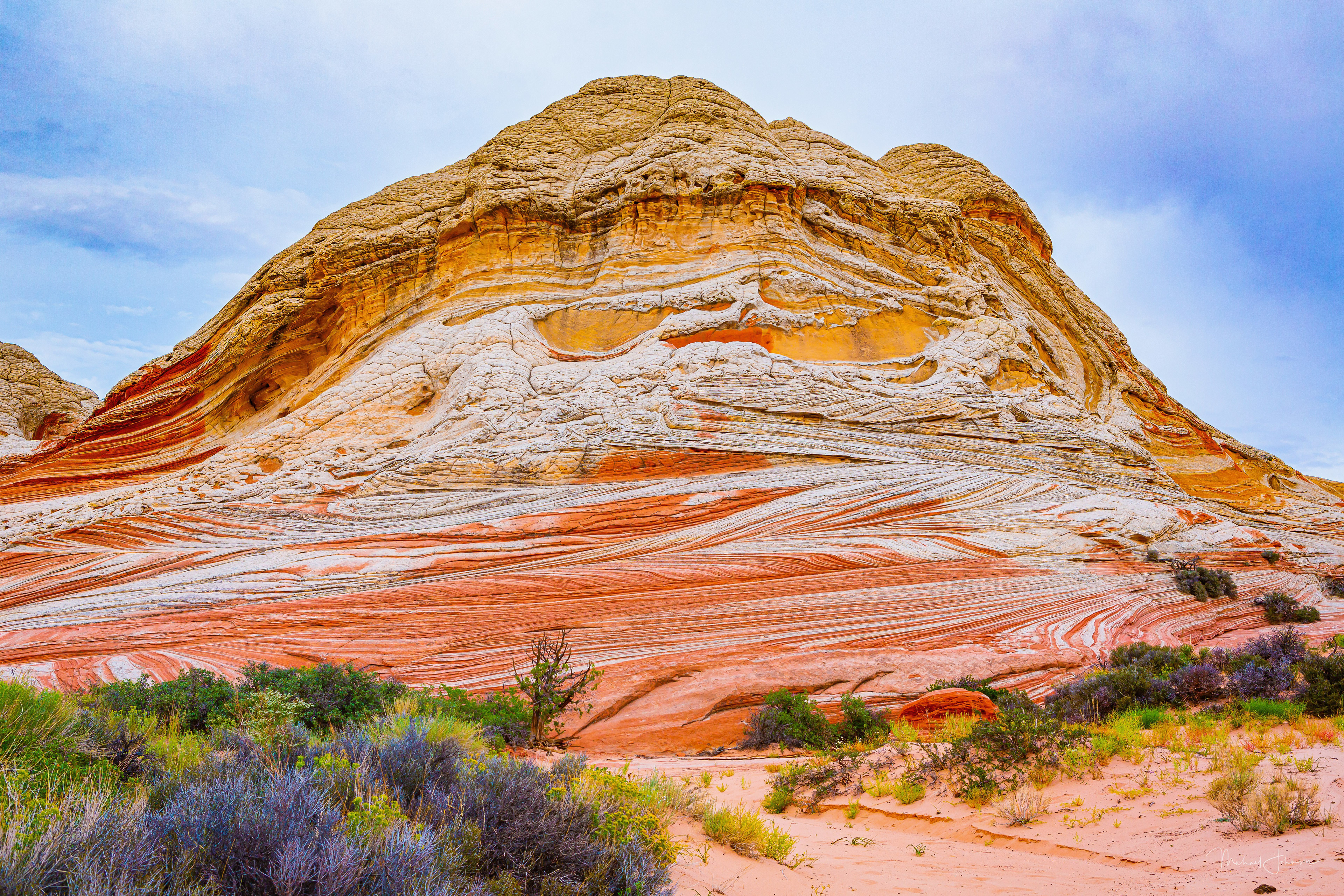 White Pocket Formation