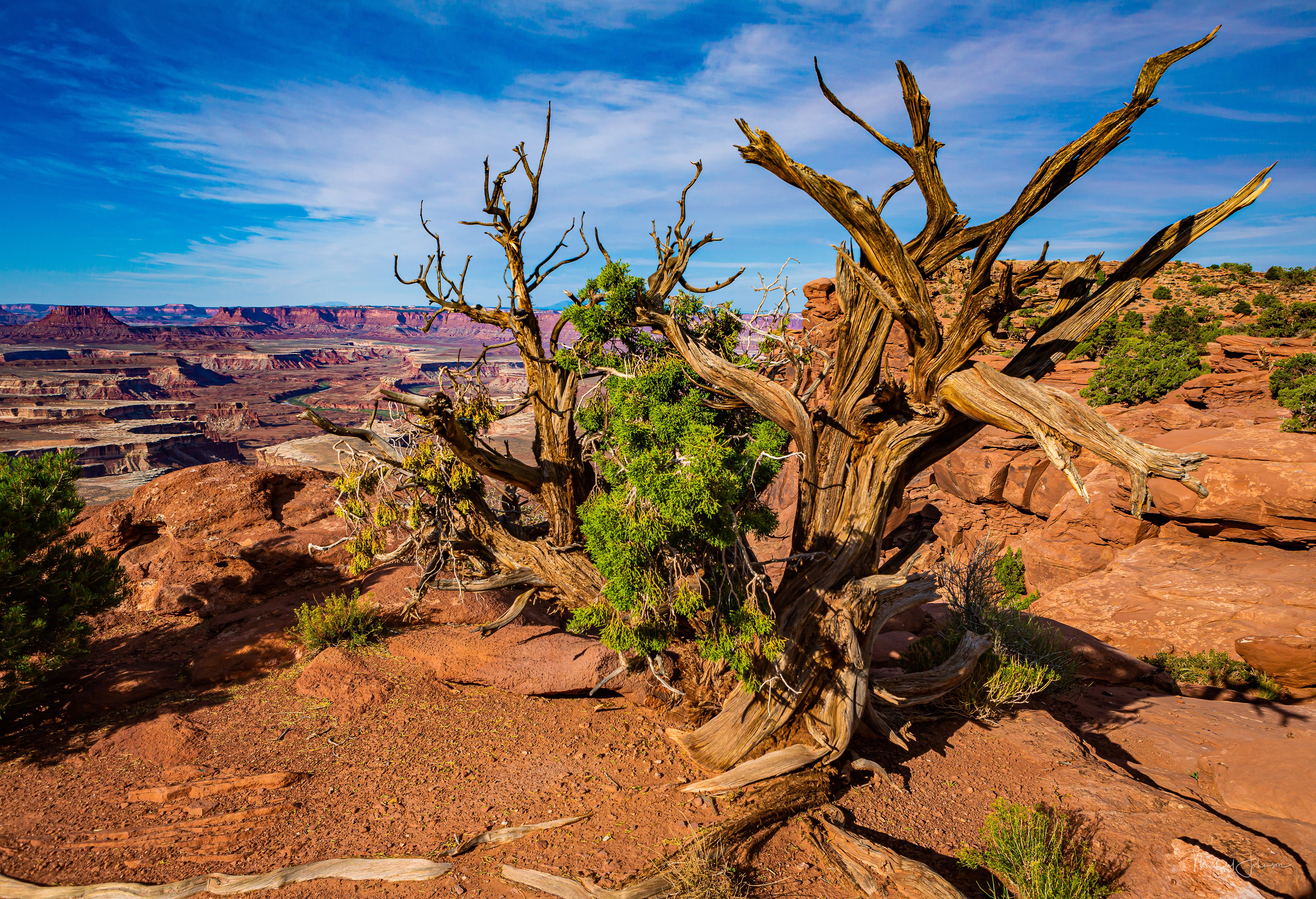Canyonlands National Park - Green River Overlook