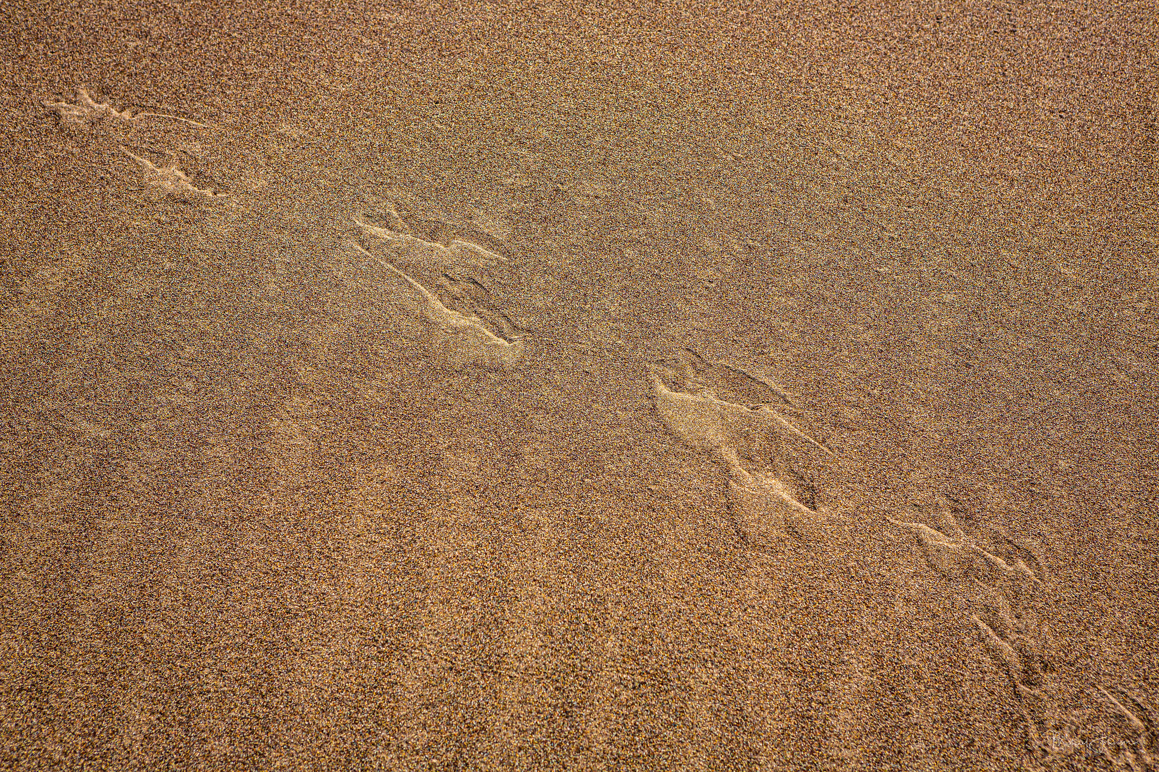 extures and Patterns on the Dunes