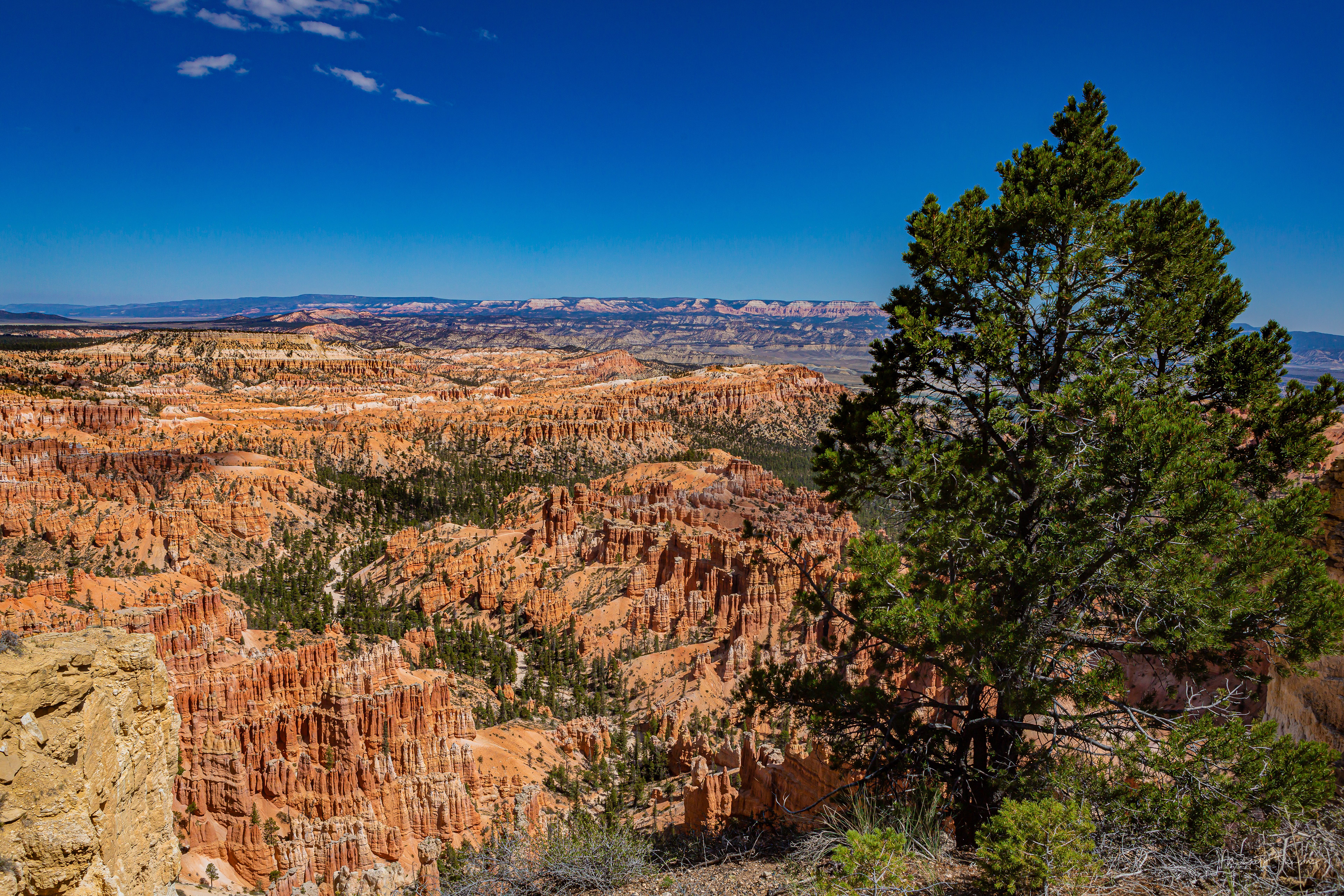 Bryce Canyon National Park - Inspiration Point to Bryce Point