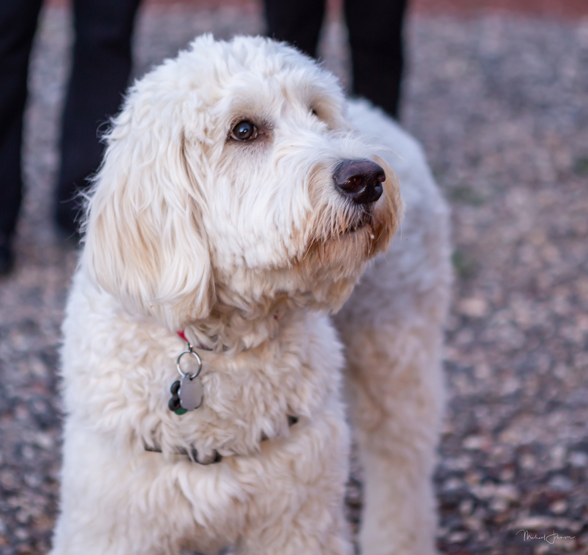Capital Reef National Park - Happy Birthday Max!