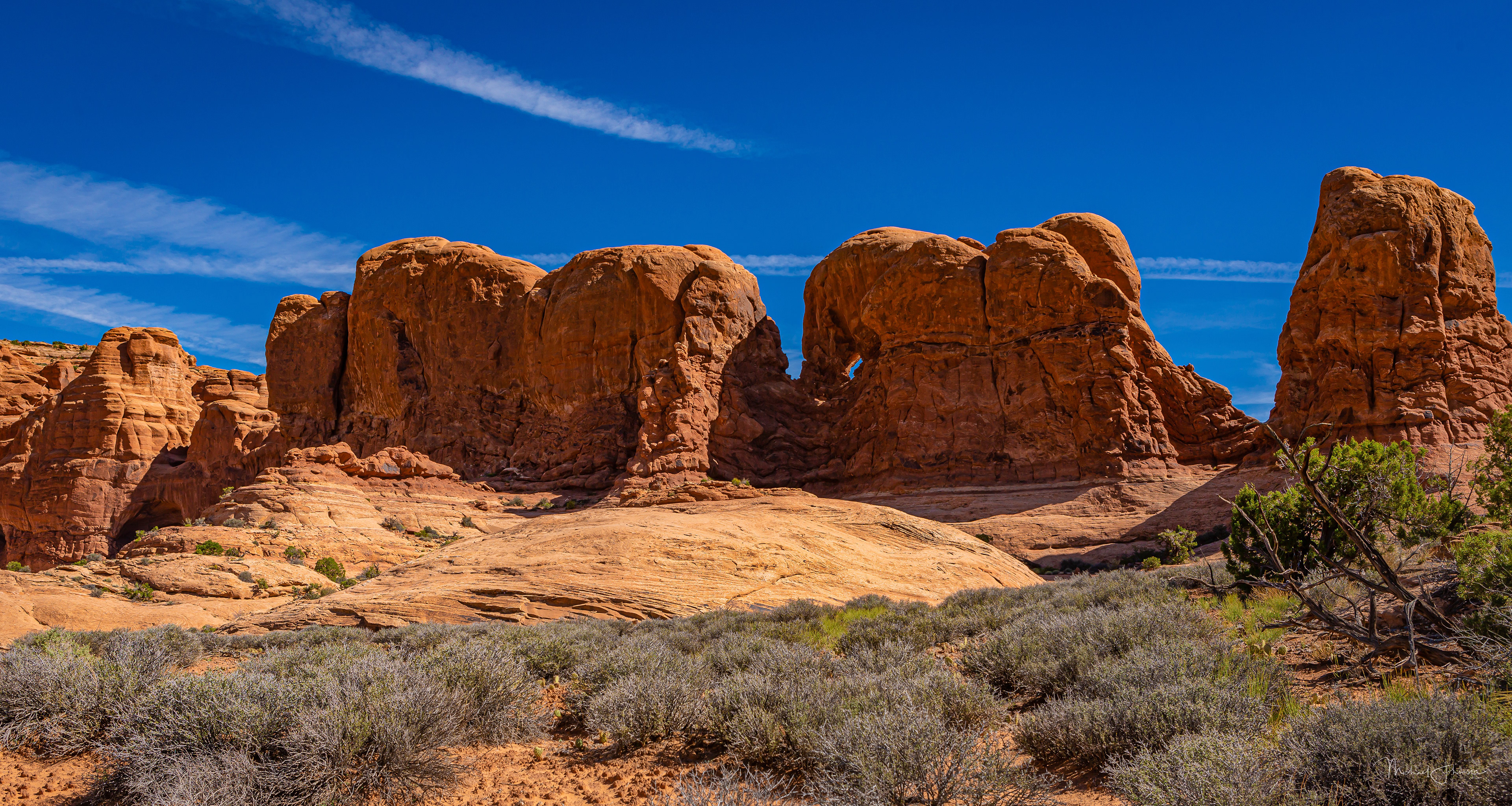 Arches National Park - Parade of Elephants