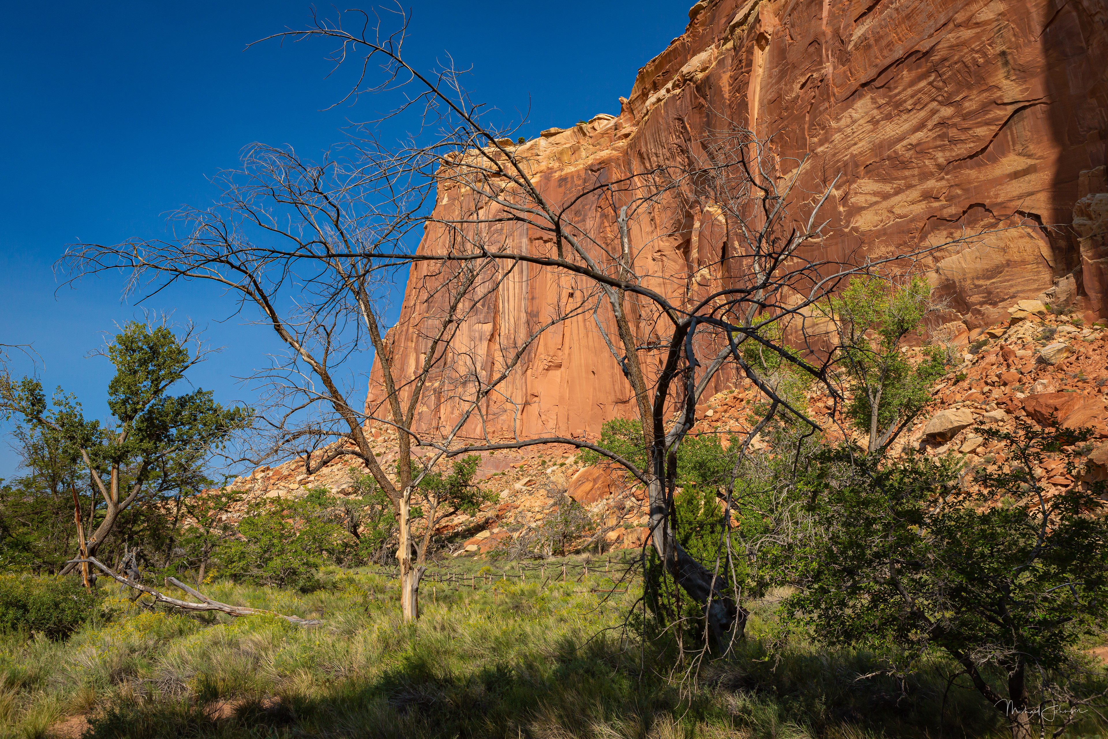 Capital Reef National Park
