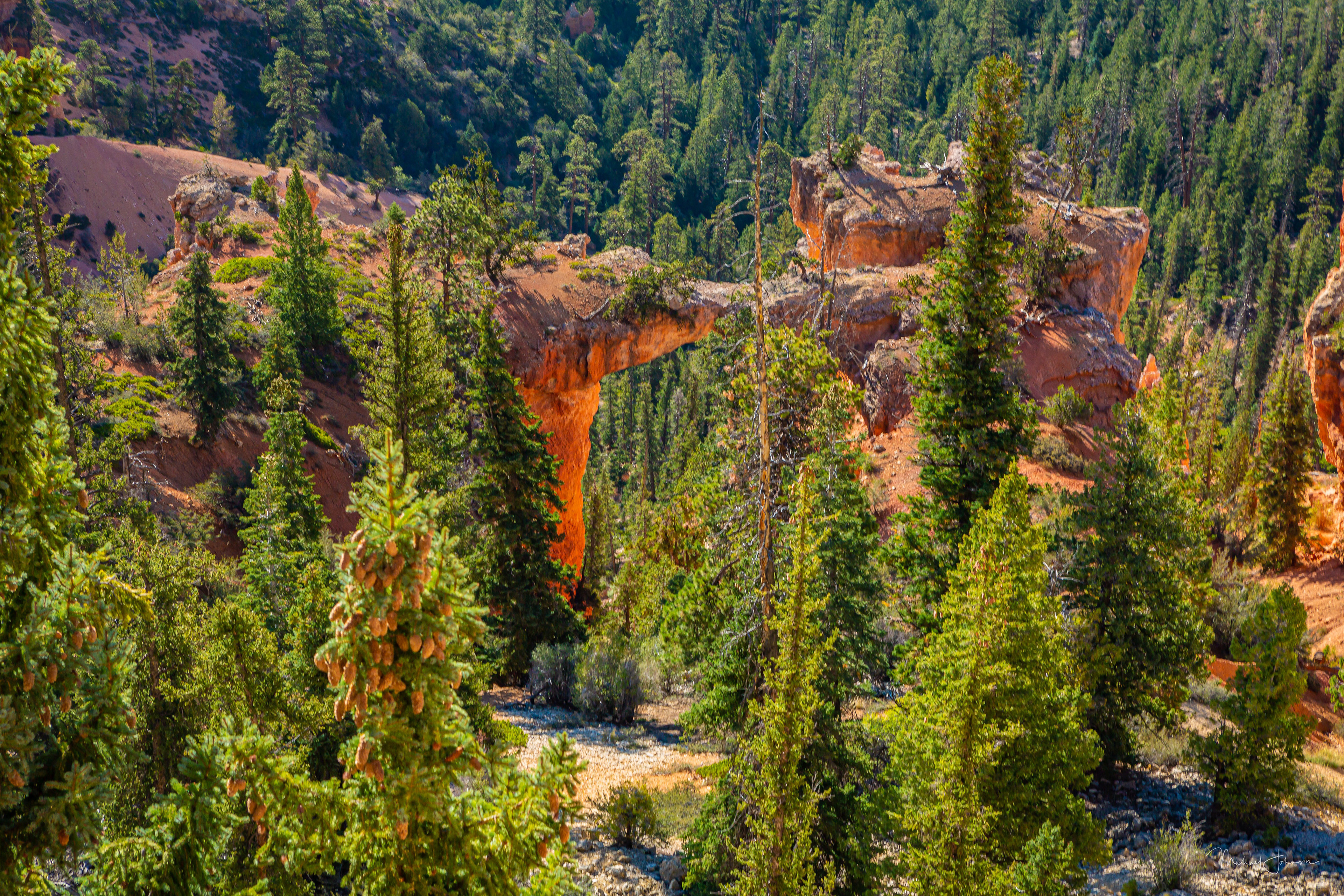 Bryce Canyon National Park - Swamp Canyon