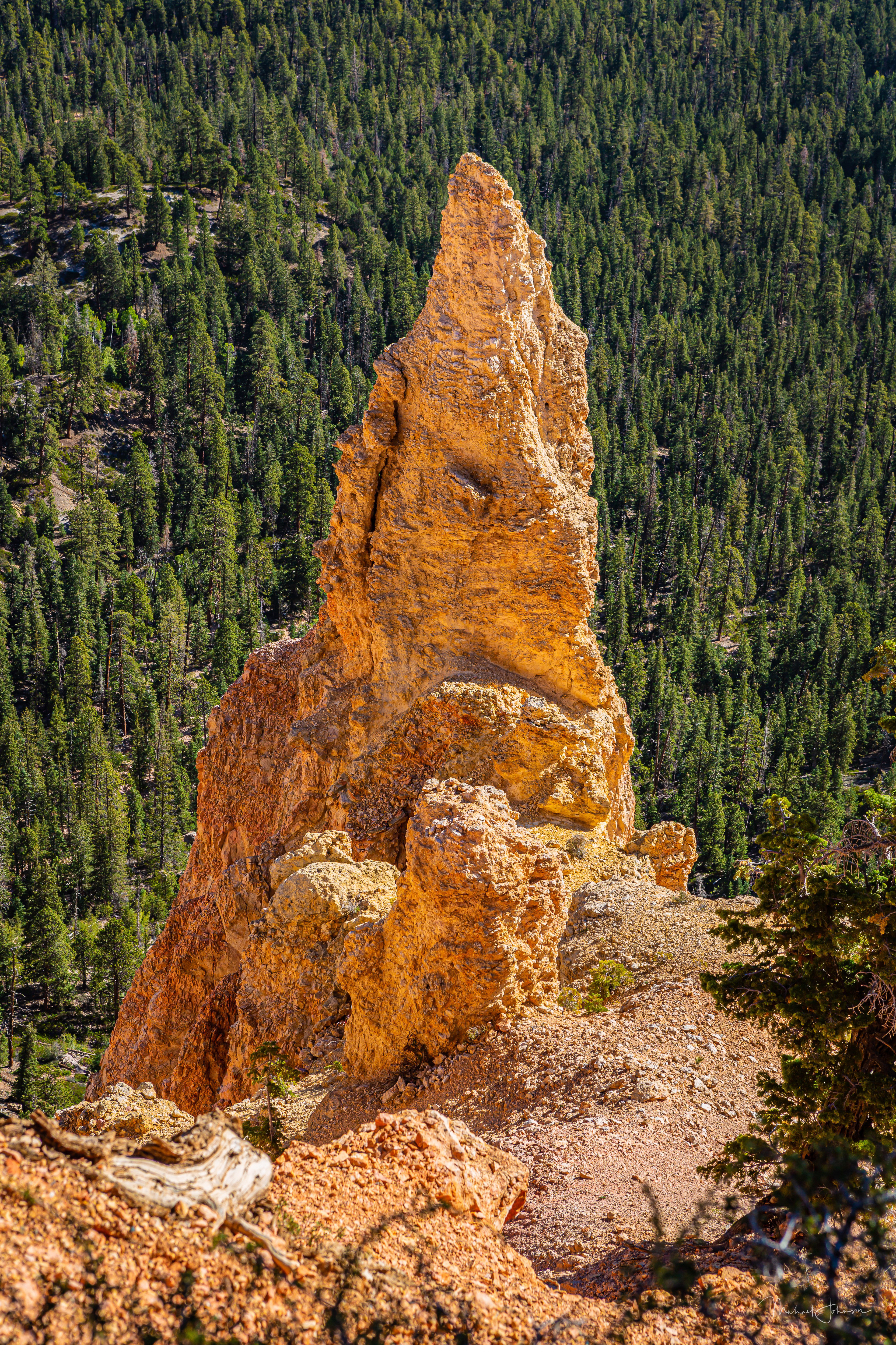 Bryce Canyon National Park - Ponderosa Canyon