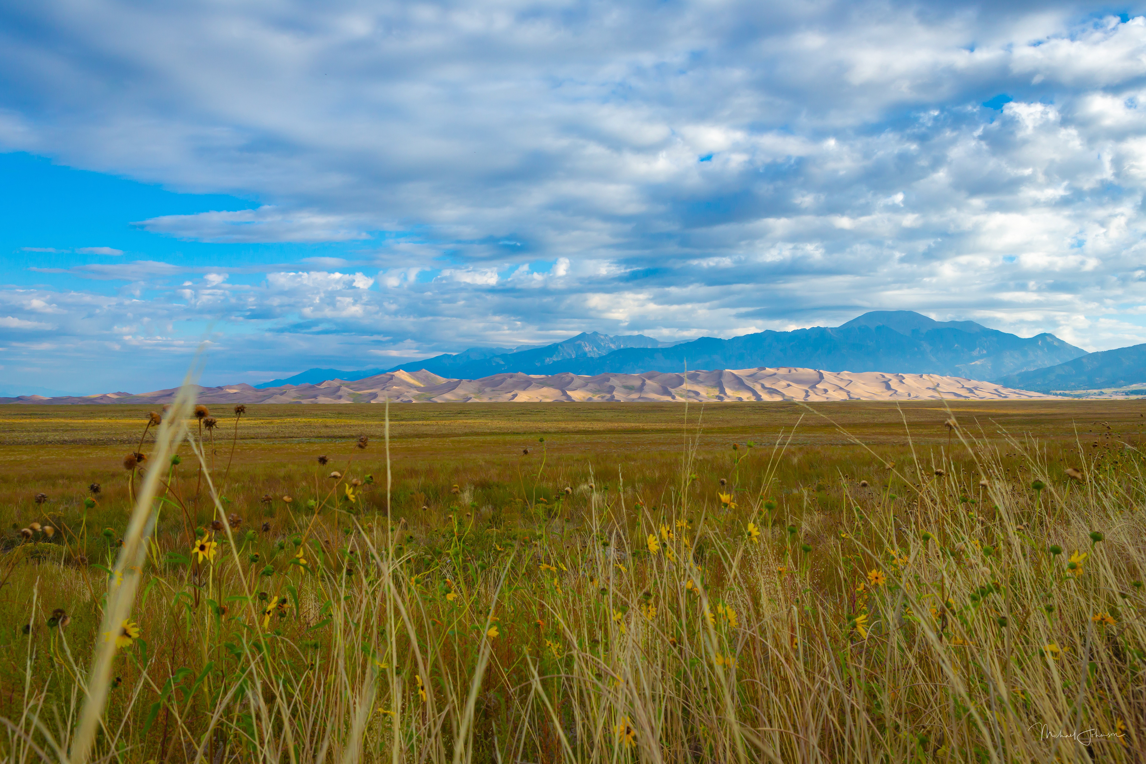 Dune Field from the West at Sunrise
